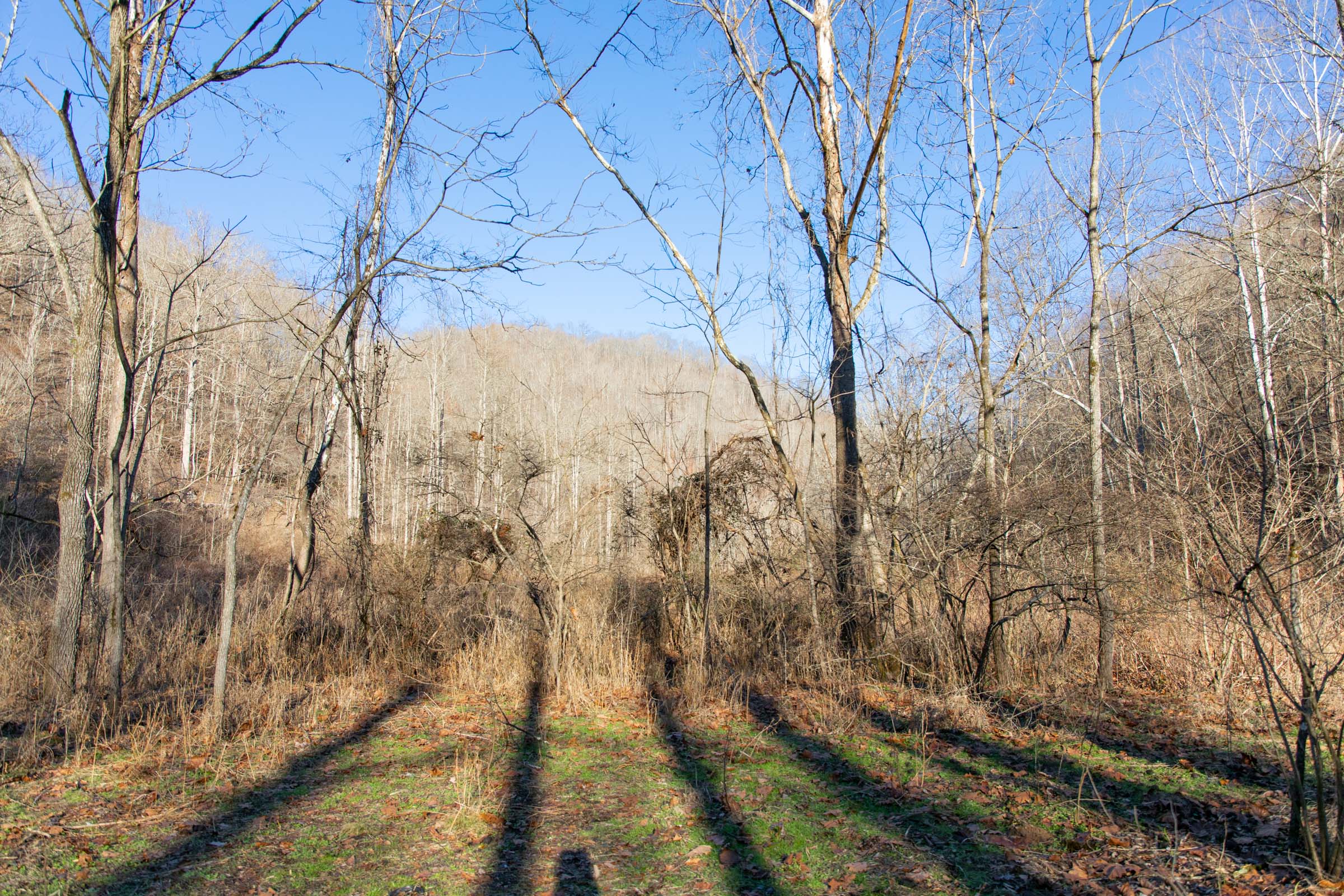 Tract 1 at Blackstone Mountain in Clay County, Kentucky