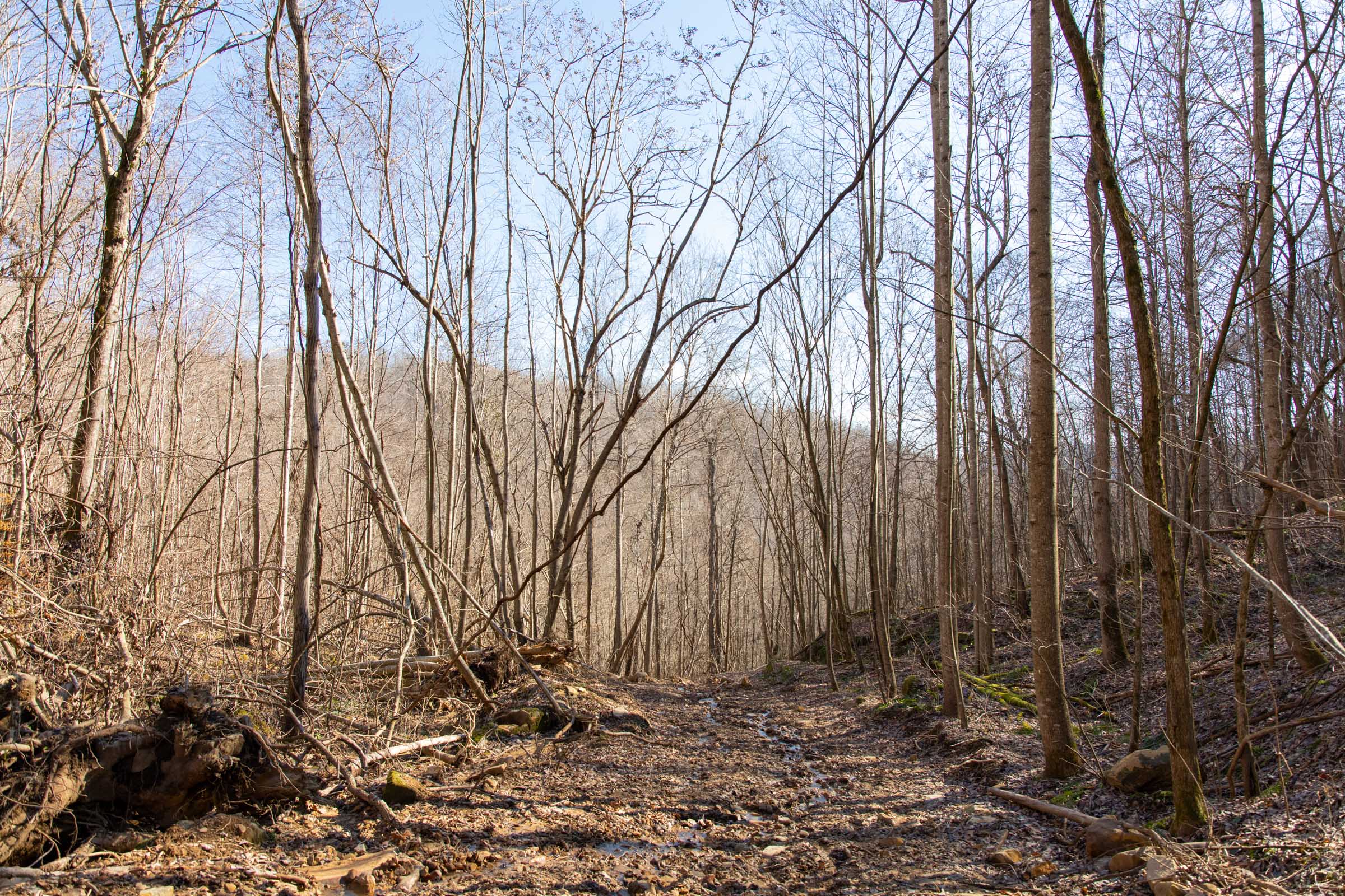 Tract 16 at Blackstone Mountain in Clay County, Kentucky