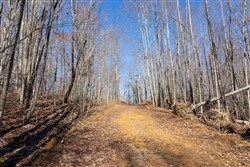 property photo for Blackstone Mountain Tract 20, 21.67 acres for sale in Clay County, Kentucky