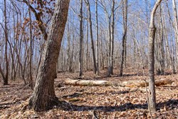 property photo for Blackstone Mountain Tract 20, 21.67 acres for sale in Clay County, Kentucky