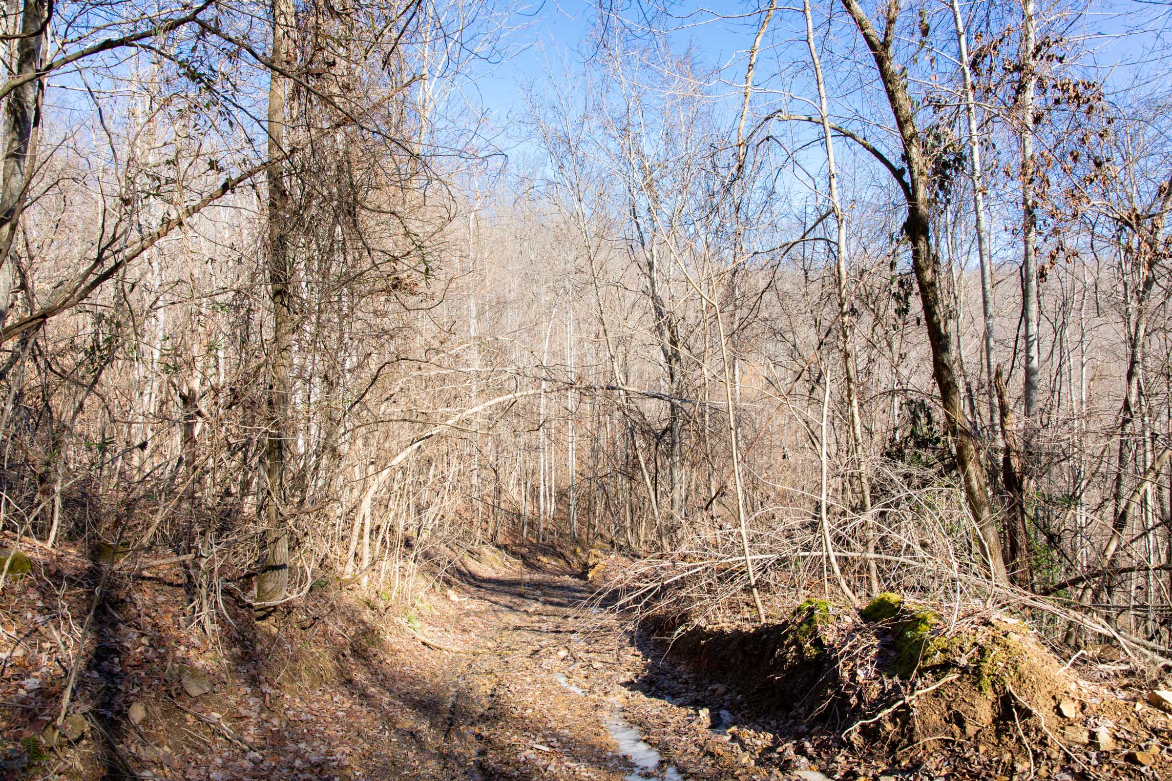 Tract 21 at Blackstone Mountain in Clay County, Kentucky