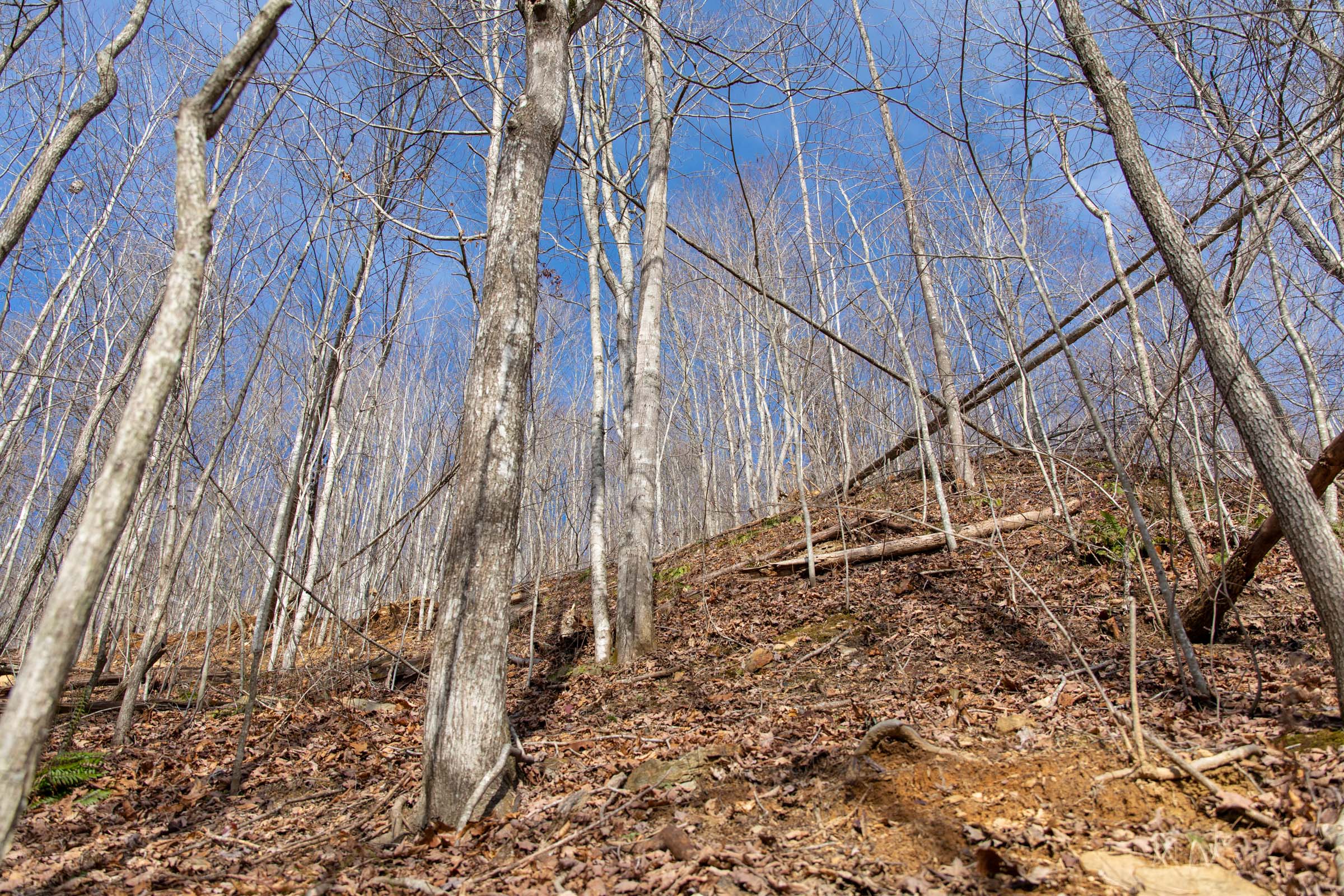 Tract 23 at Blackstone Mountain in Clay County, Kentucky