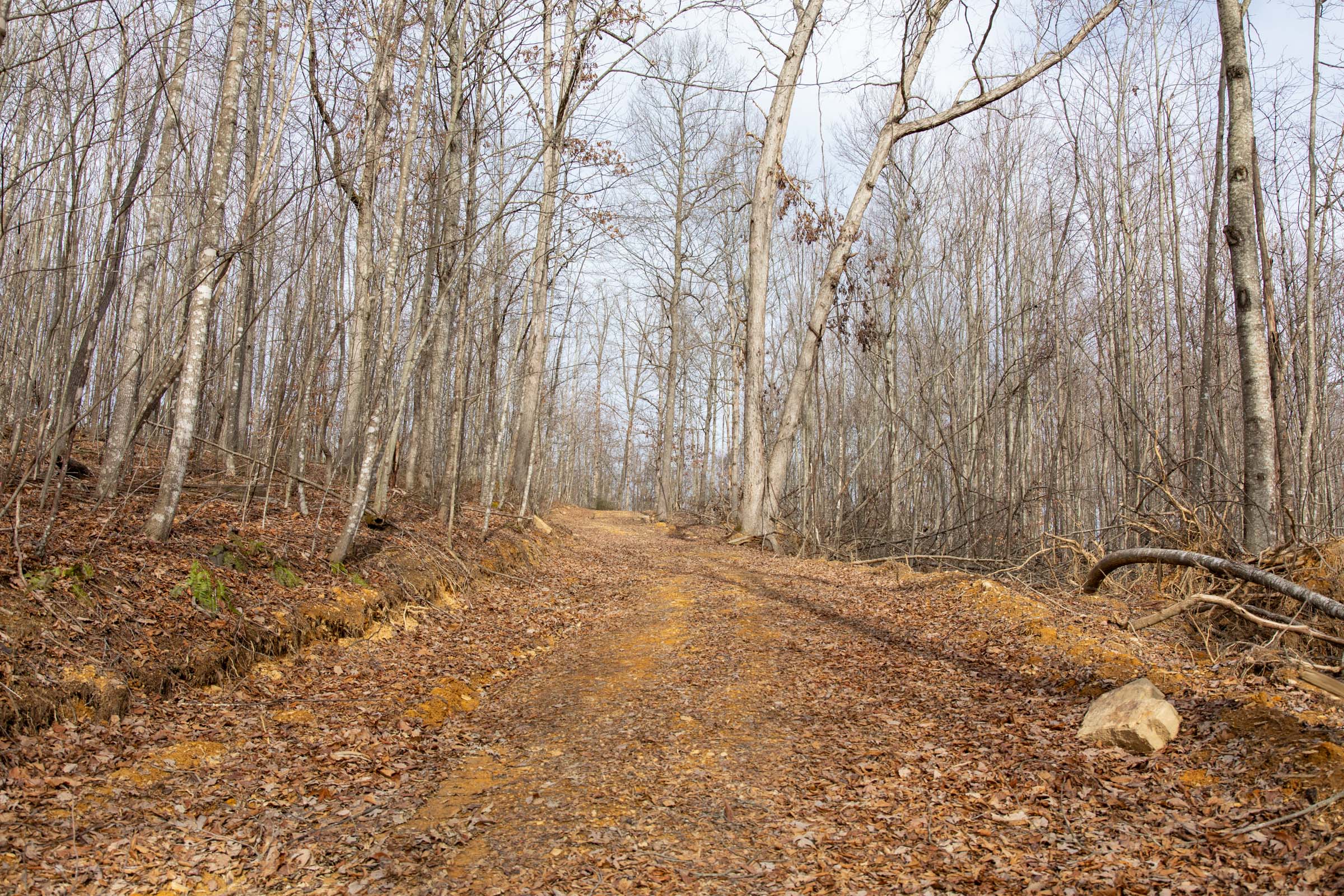 Tract 24 at Blackstone Mountain in Clay County, Kentucky