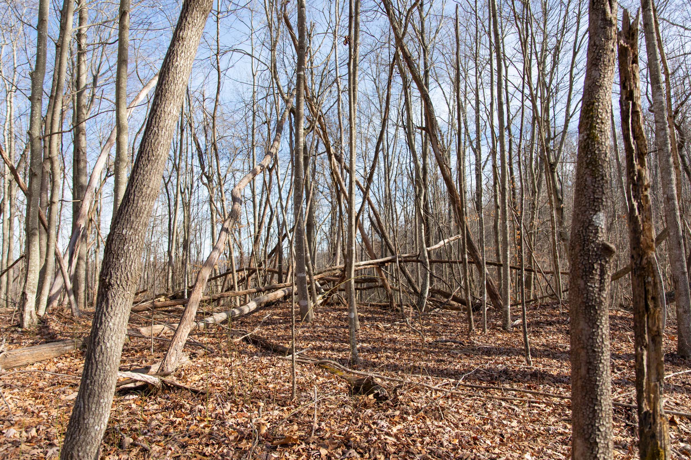 Tract 33 at Blackstone Mountain in Clay County, Kentucky