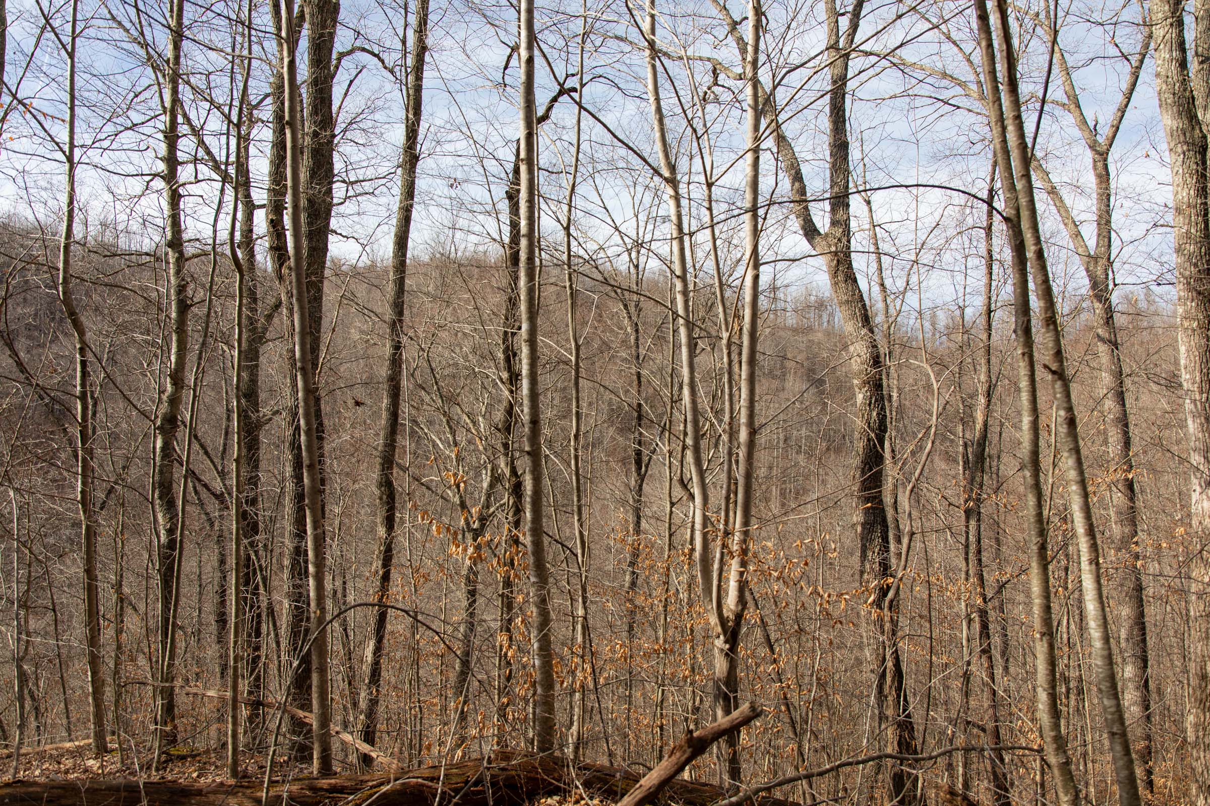 Tract 34 at Blackstone Mountain in Clay County, Kentucky