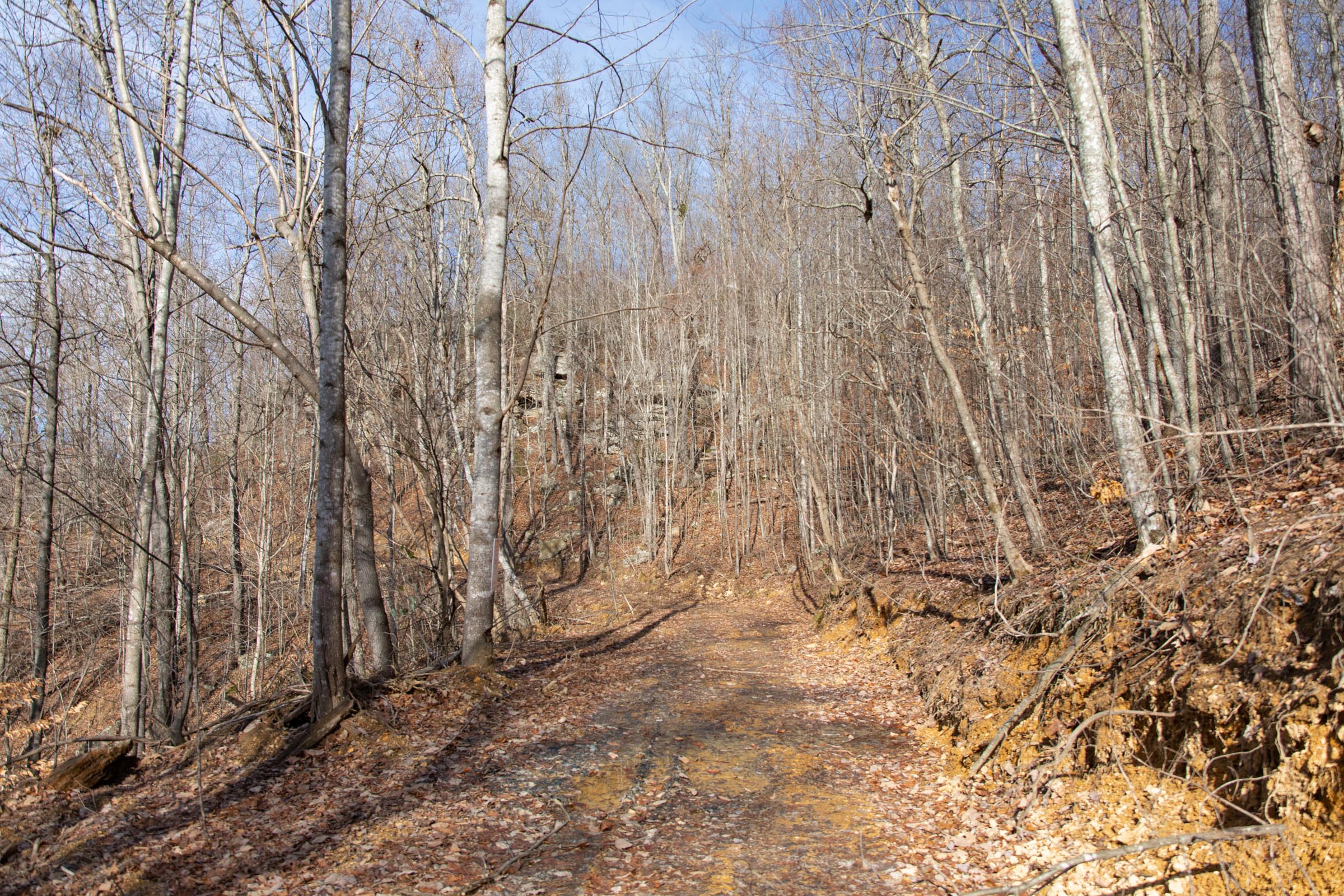 Tract 35 at Blackstone Mountain in Clay County, Kentucky