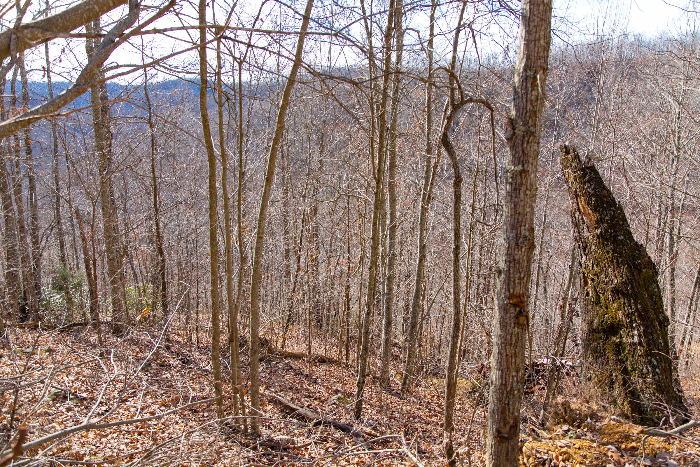 Tract 36 at Blackstone Mountain in Clay County, Kentucky