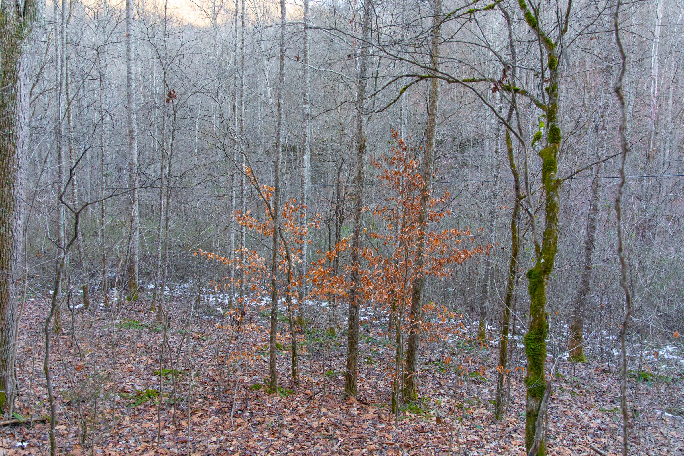 Tract 4 at Blackstone Mountain in Clay County, Kentucky