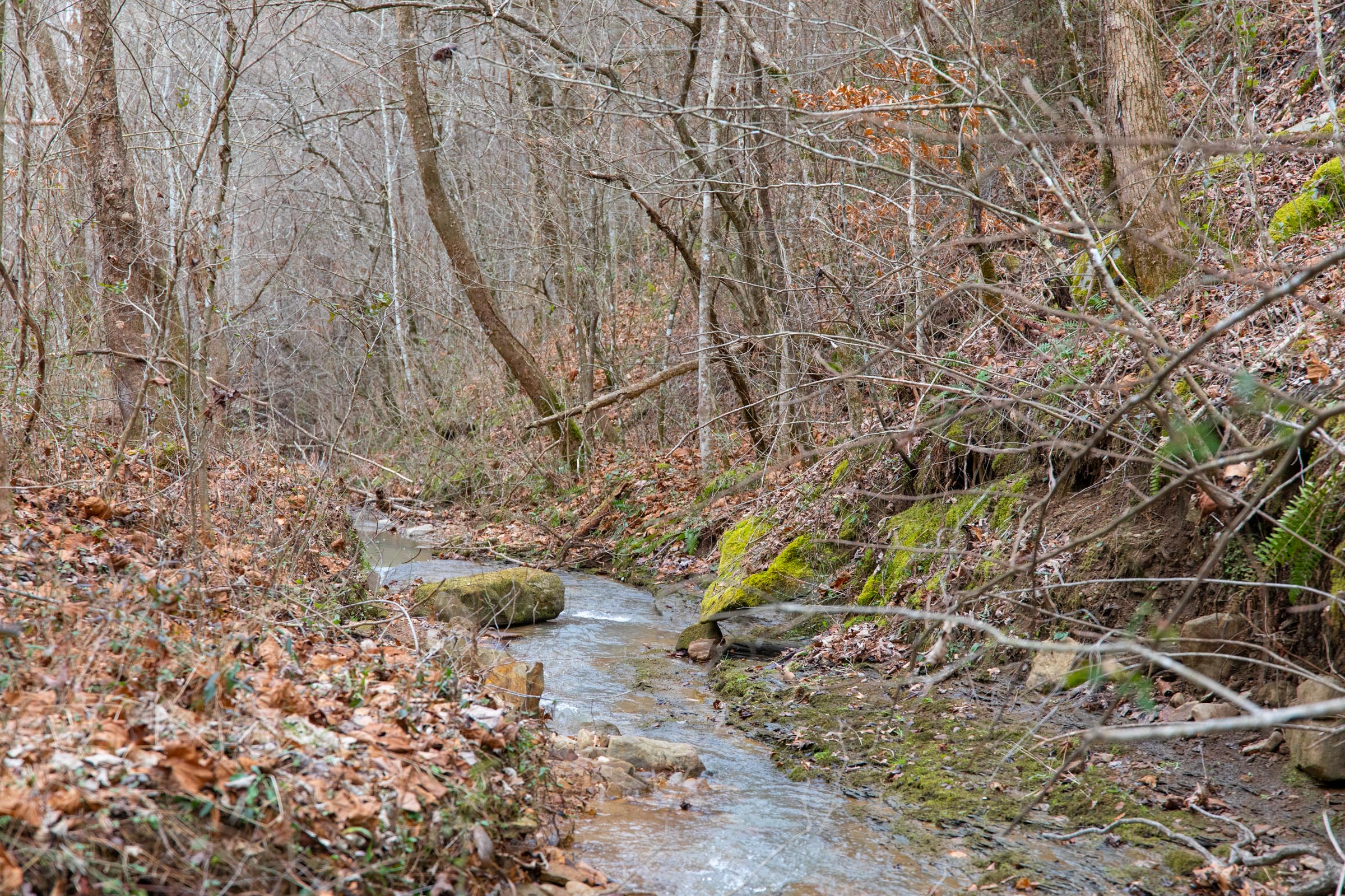 Tract 41 at Blackstone Mountain in Clay County, Kentucky