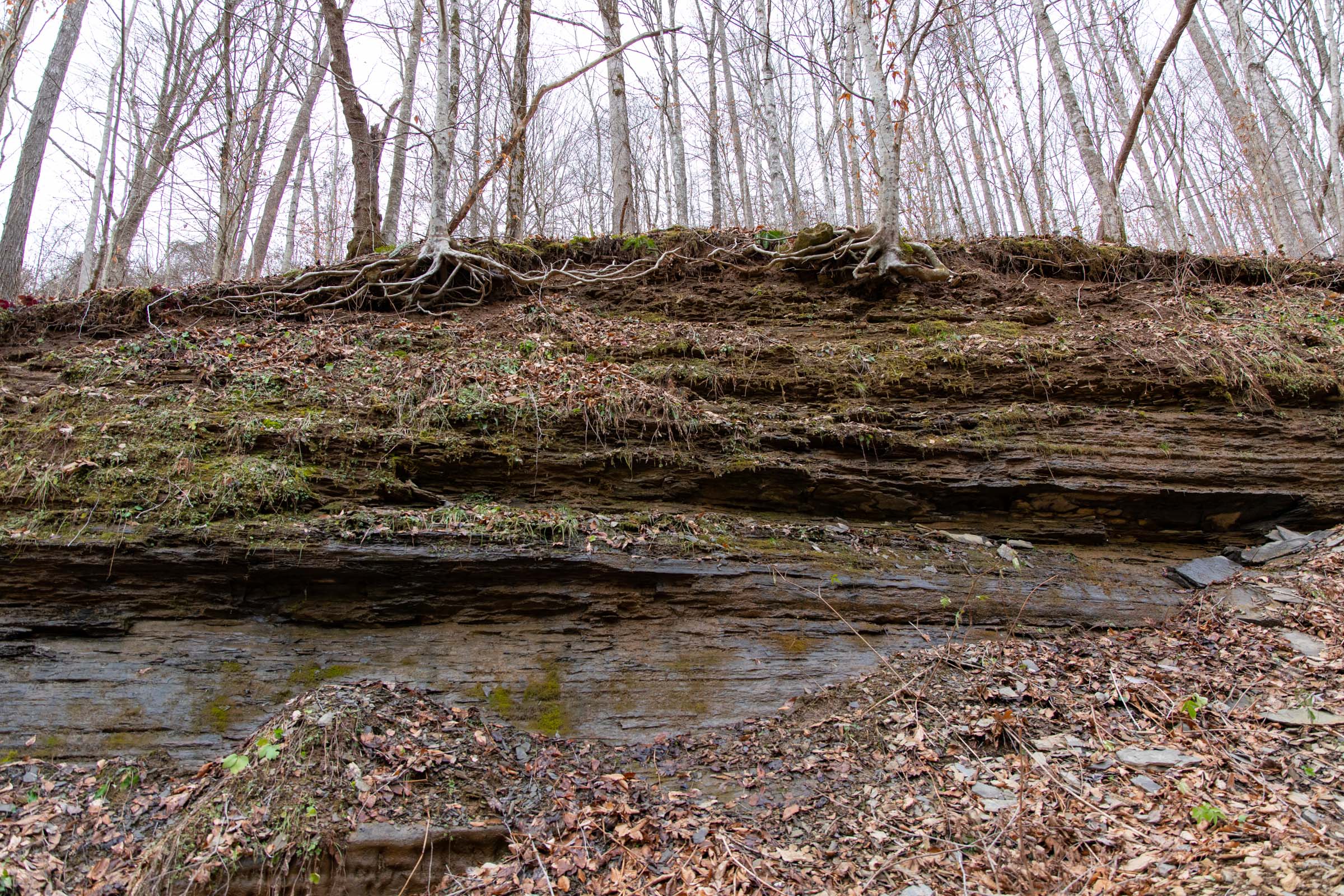 Tract 43 at Blackstone Mountain in Clay County, Kentucky