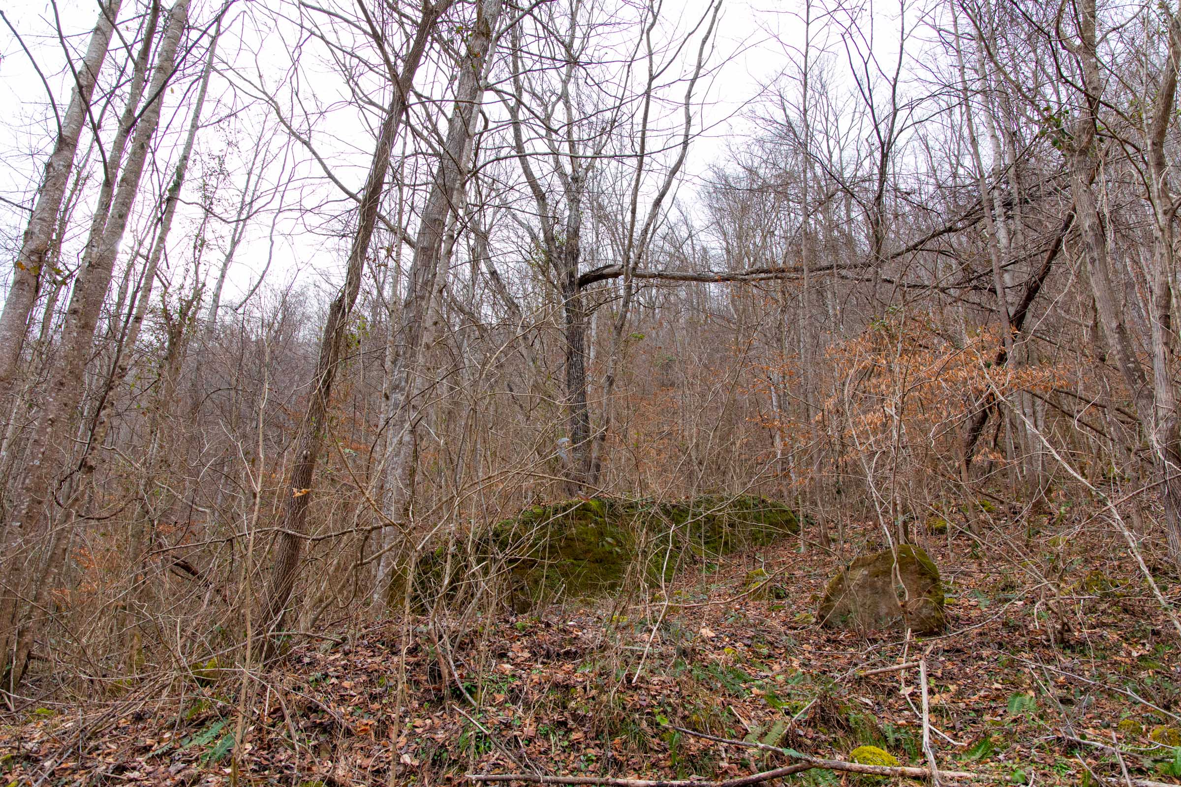 Tract 44 at Blackstone Mountain in Clay County, Kentucky