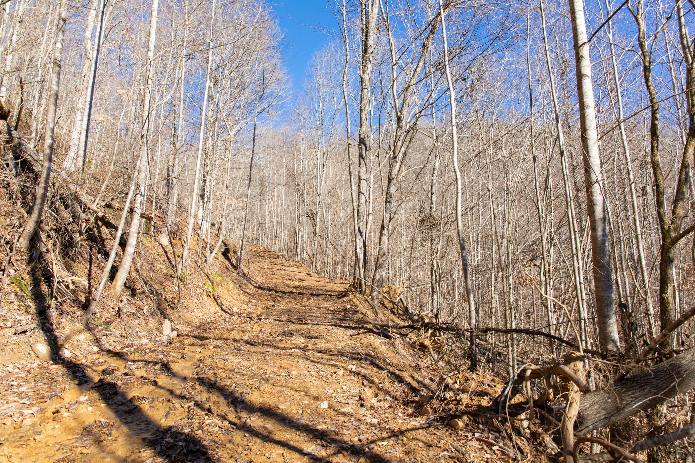 Tract 49 at Blackstone Mountain in Clay County, Kentucky