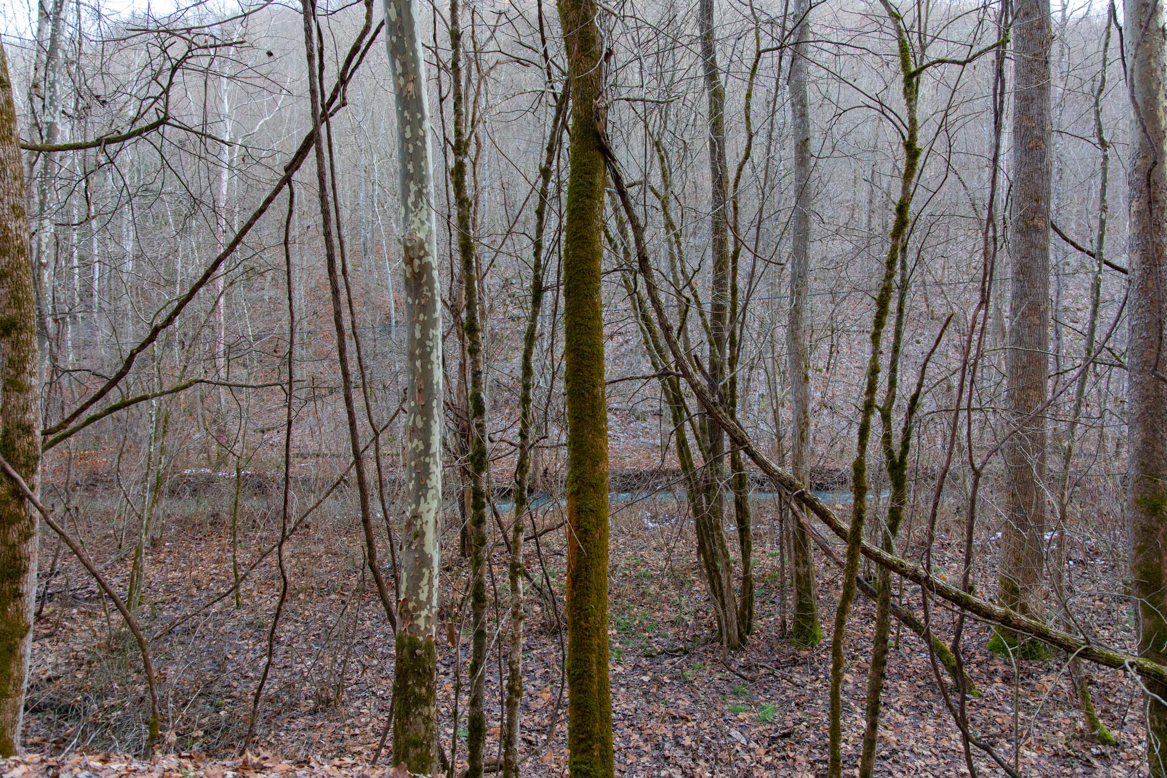 Tract 6 at Blackstone Mountain in Clay County, Kentucky