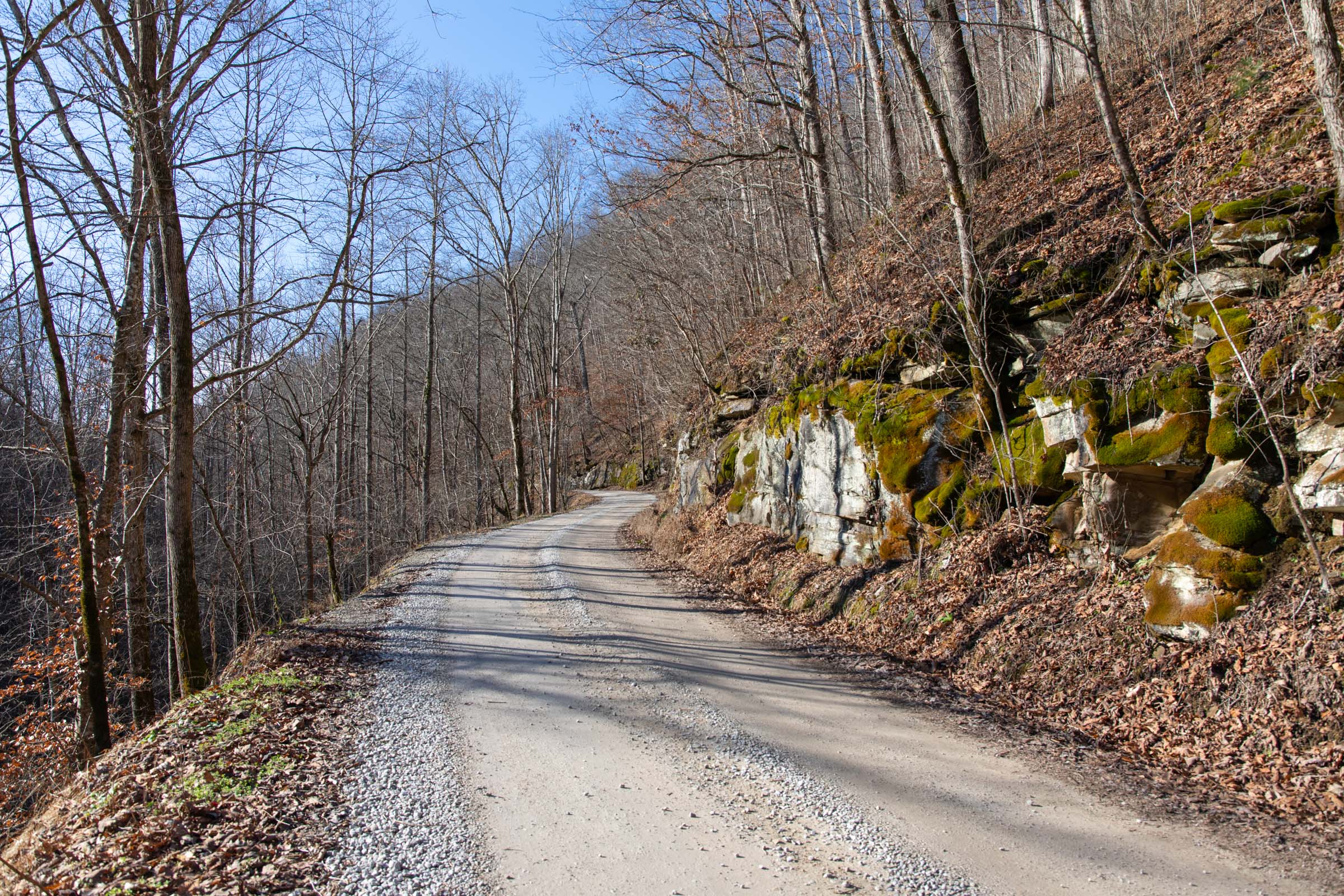 Blackstone Mountain Â· Tract 8