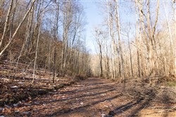 property photo for Blackstone Mountain Tract 8, 8.44 acres for sale in Clay County, Kentucky
