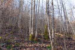 property photo for Blackstone Mountain Tract 8, 8.44 acres for sale in Clay County, Kentucky