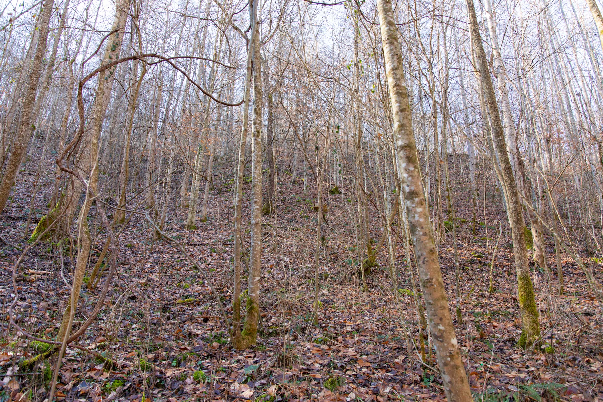 Tract 9 at Blackstone Mountain in Clay County, Kentucky