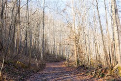 property photo for Blackstone Mountain Tract 9, 12.39 acres for sale in Clay County, Kentucky