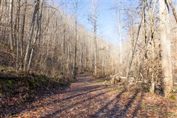 property photo for Blackstone Mountain Tract 9, 12.39 acres for sale in Clay County, Kentucky