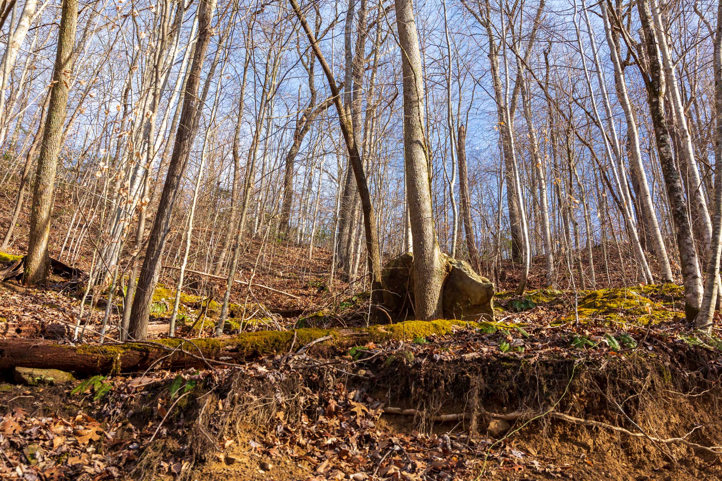 Tract 54 at Blackstone Mountain Phase II in Clay County, Kentucky