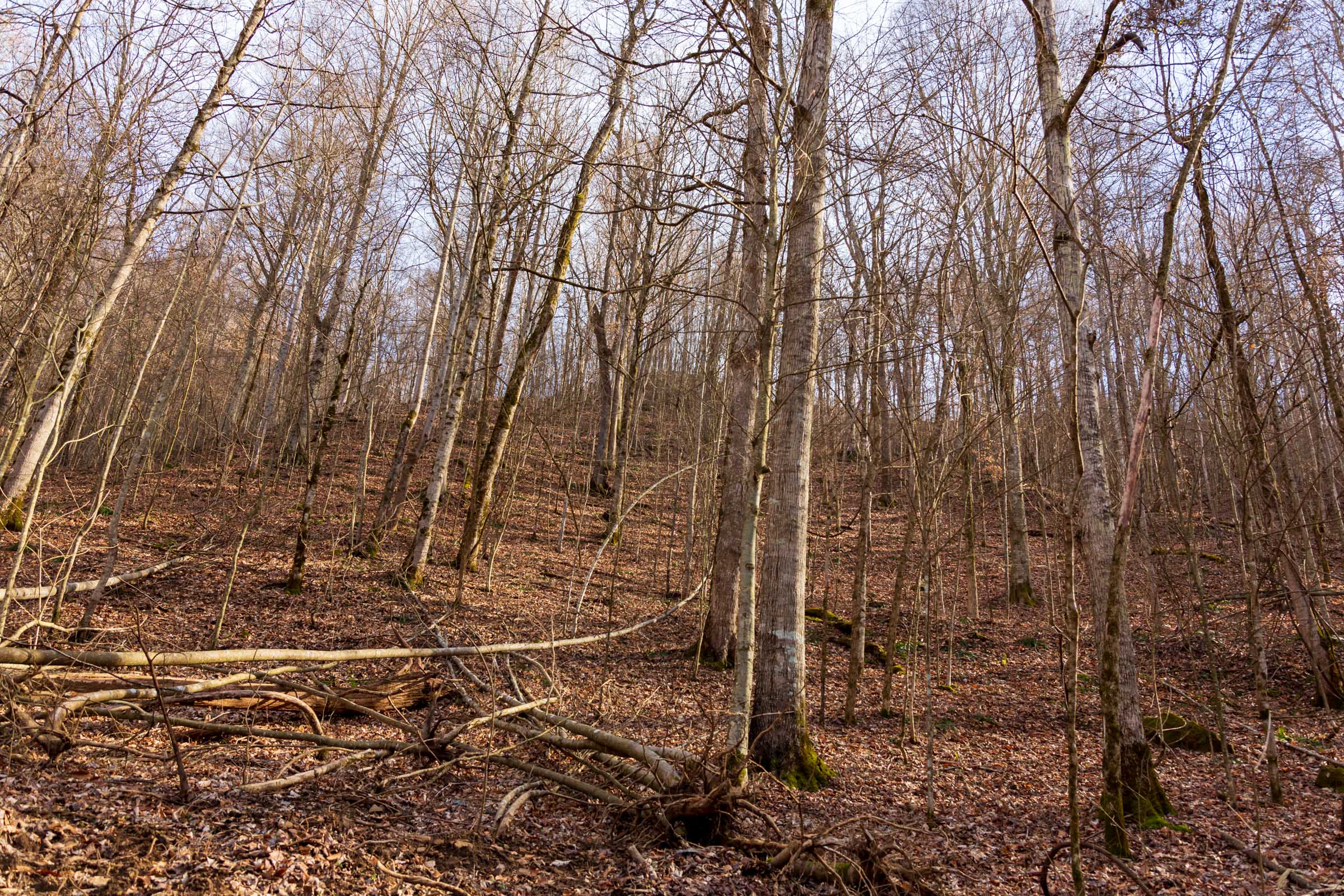 Tract 55 at Blackstone Mountain Phase II in Clay County, Kentucky