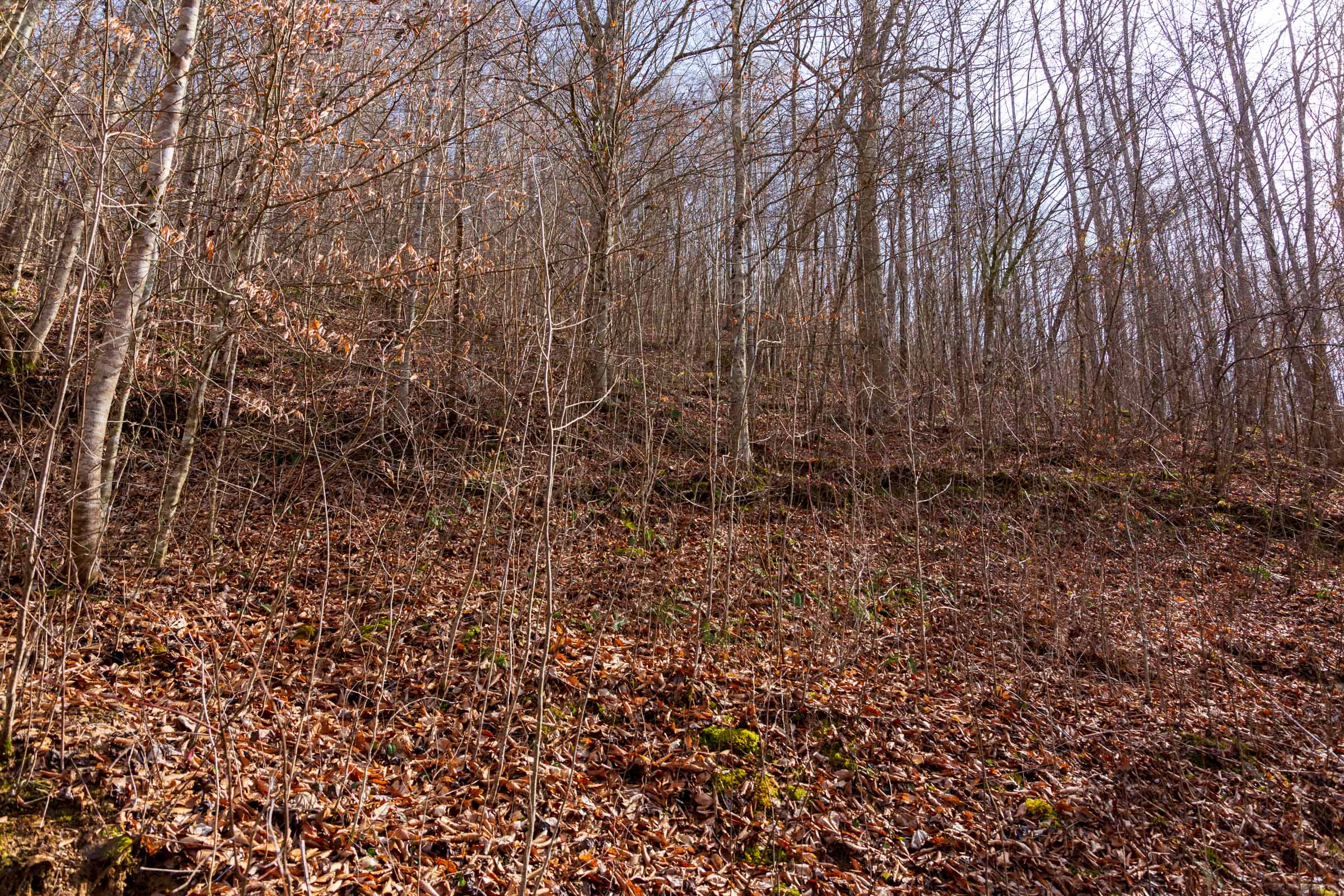 Tract 60 at Blackstone Mountain Phase II in Clay County, Kentucky