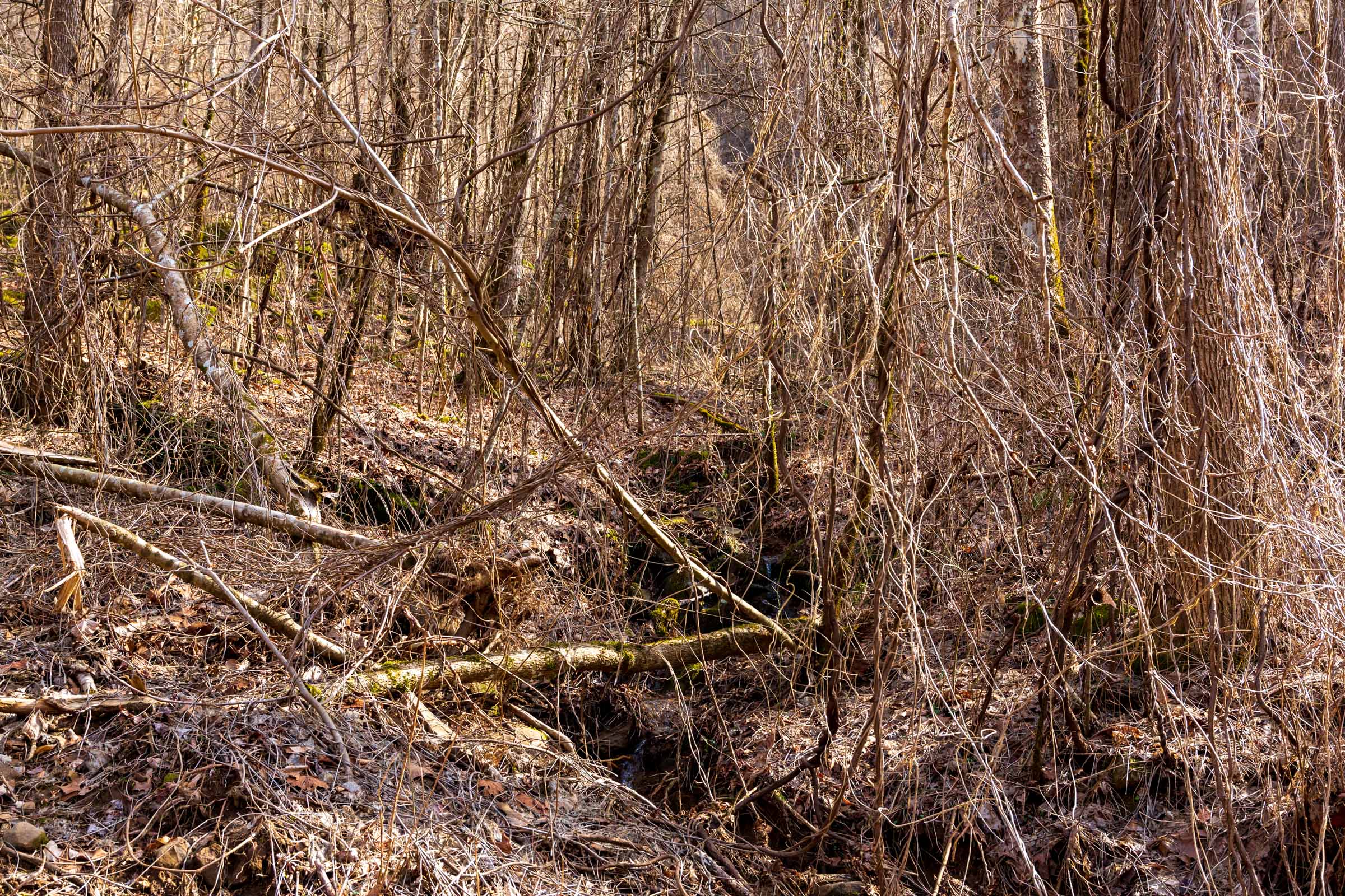 Tract 62 at Blackstone Mountain Phase II in Clay County, Kentucky