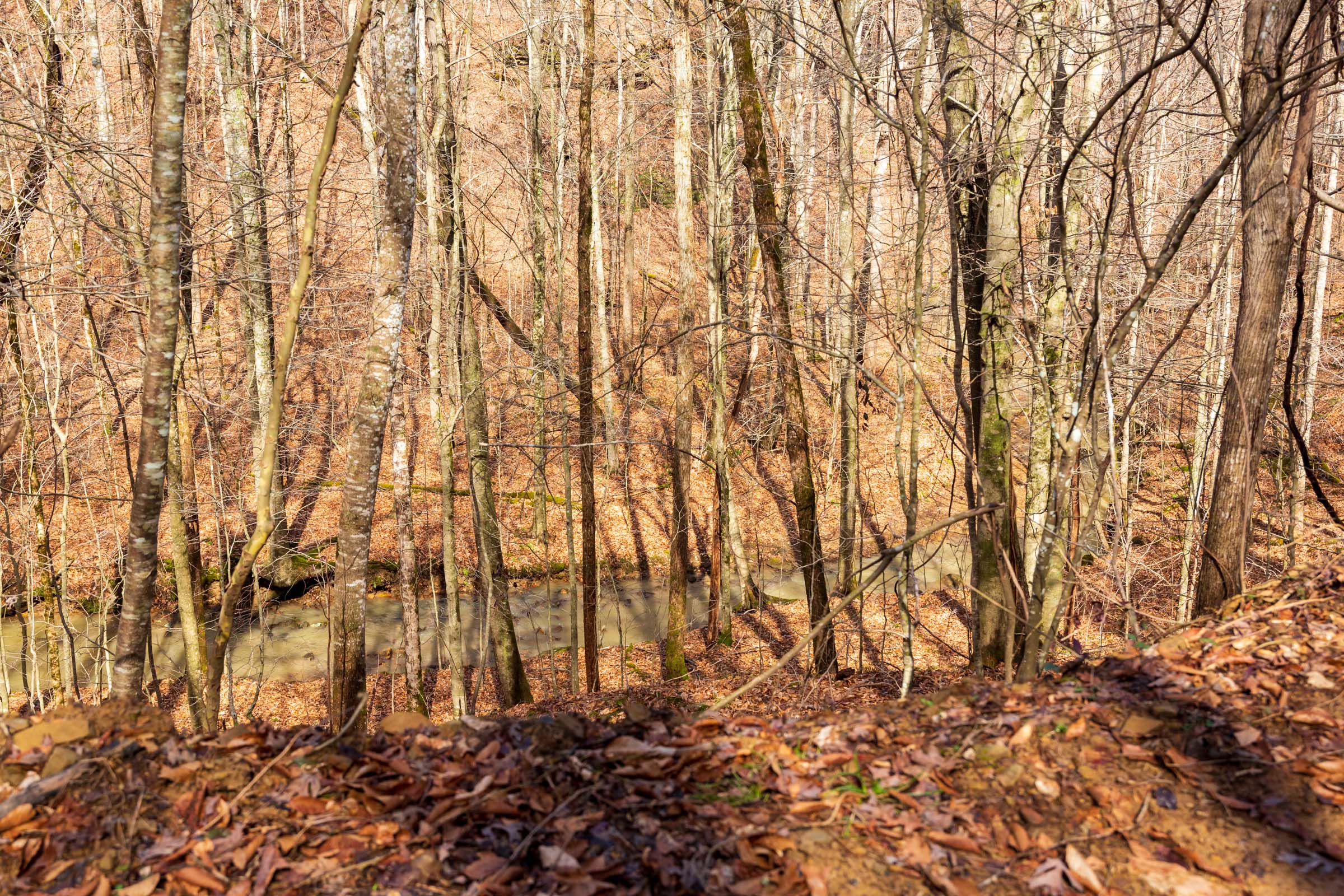 Tract 70 at Blackstone Mountain Phase II in Clay County, Kentucky