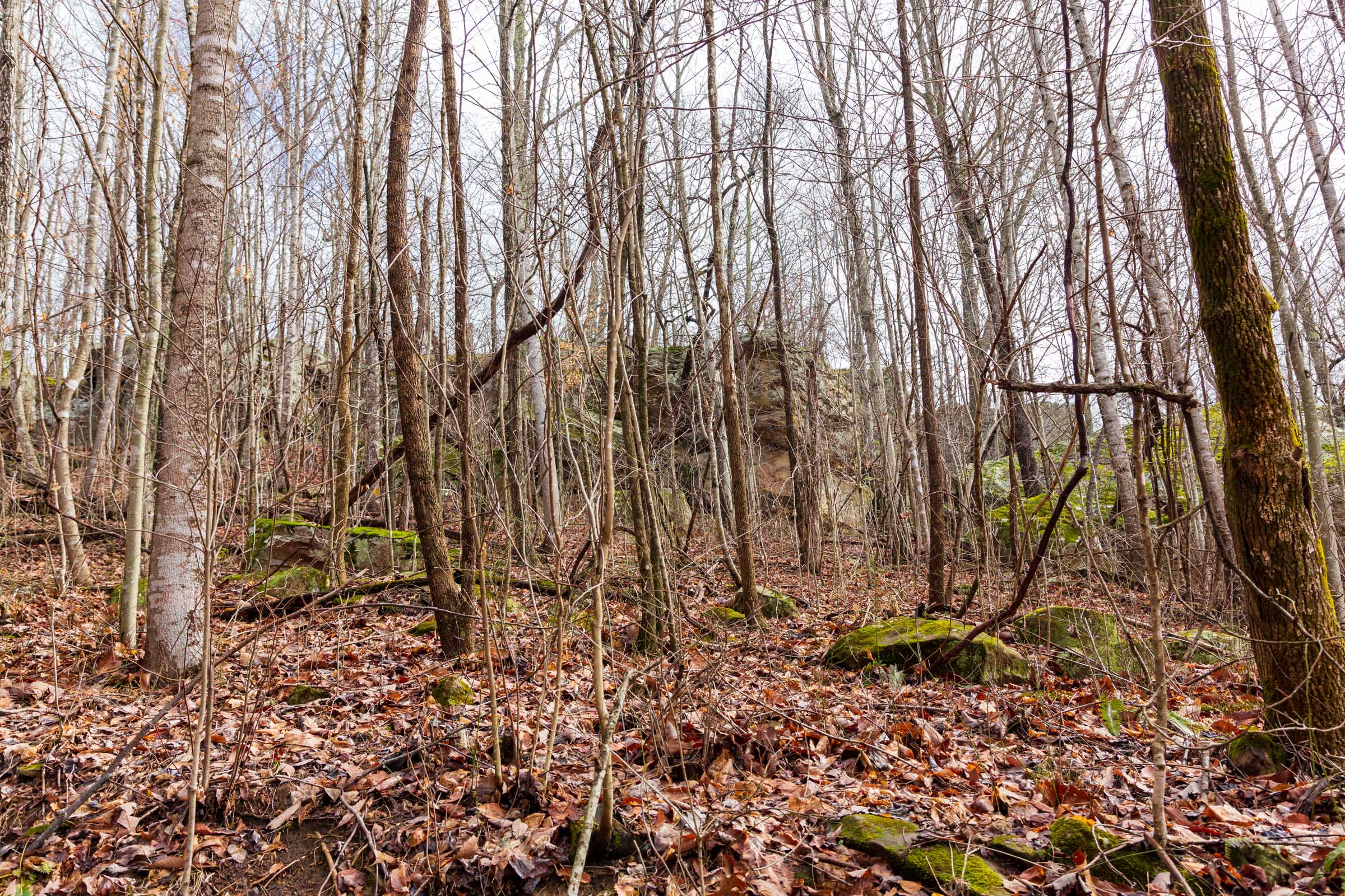 Tract 75 at Blackstone Mountain Phase II in Clay County, Kentucky