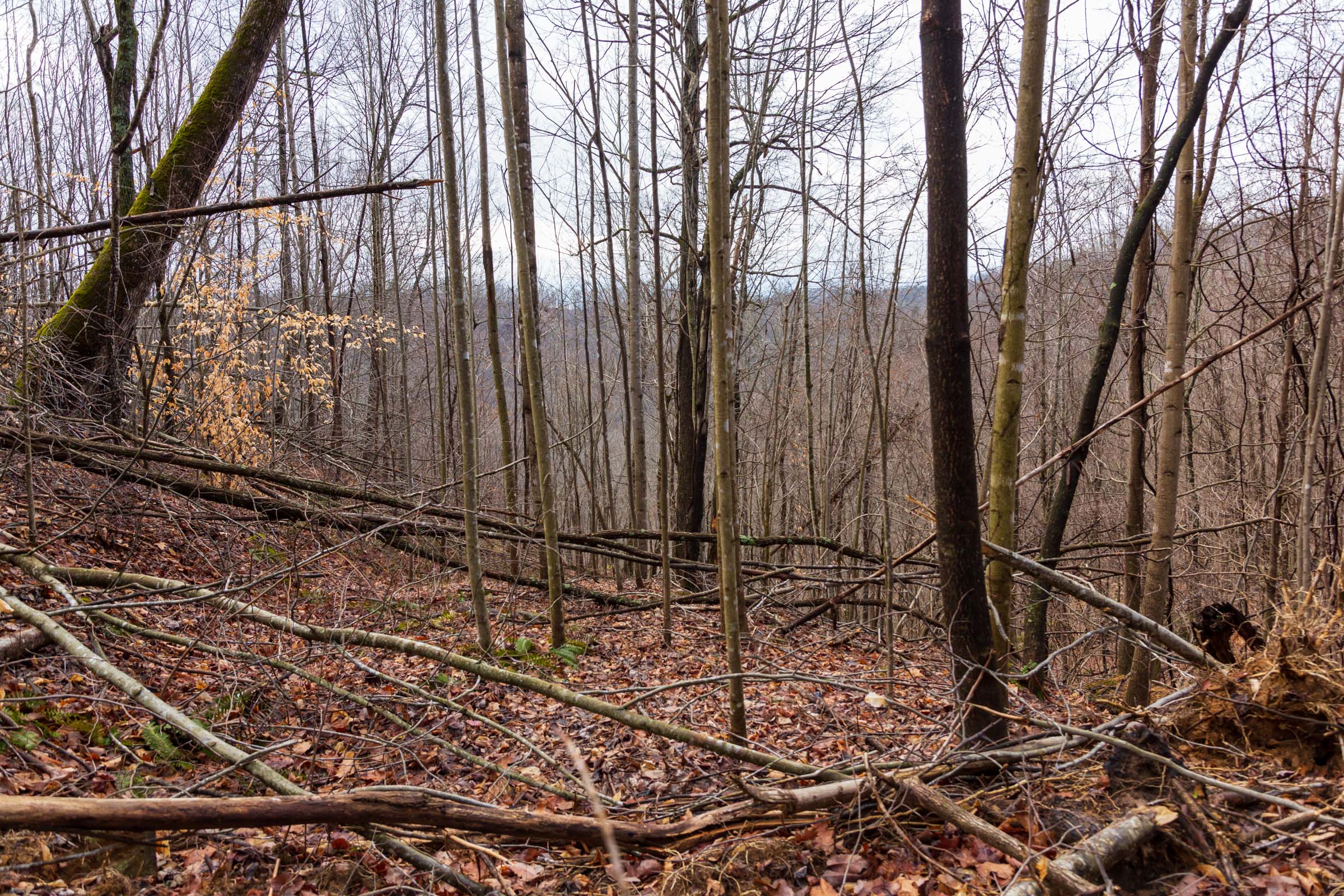 Tract 76 at Blackstone Mountain Phase II in Clay County, Kentucky