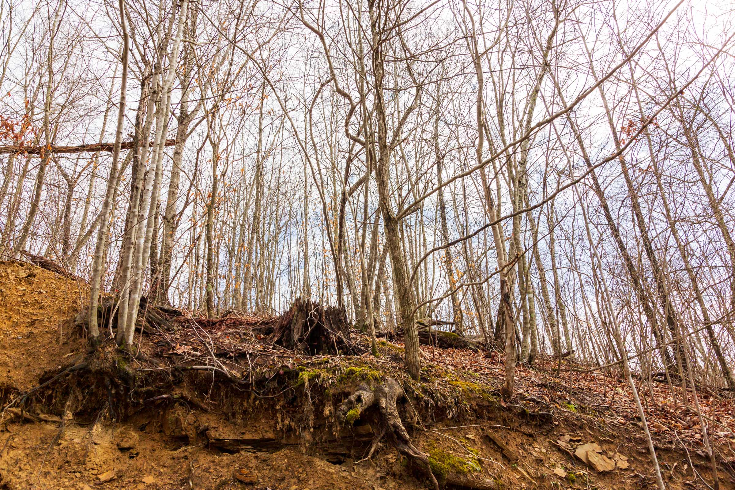 Tract 79 at Blackstone Mountain Phase II in Clay County, Kentucky