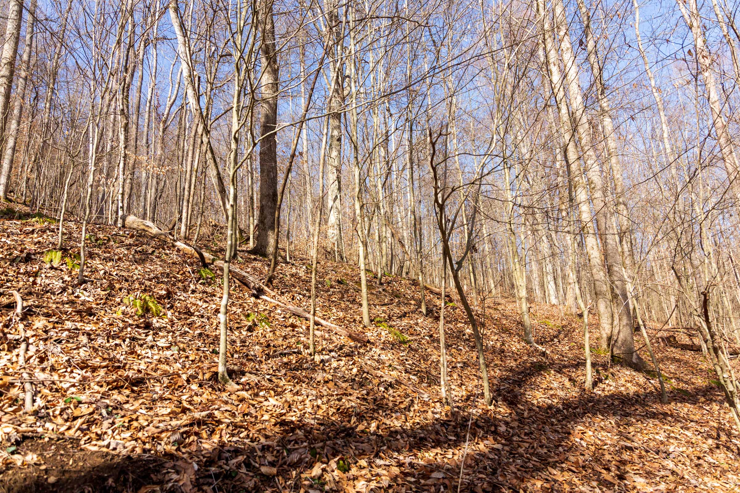 Tract 80 at Blackstone Mountain Phase II in Clay County, Kentucky