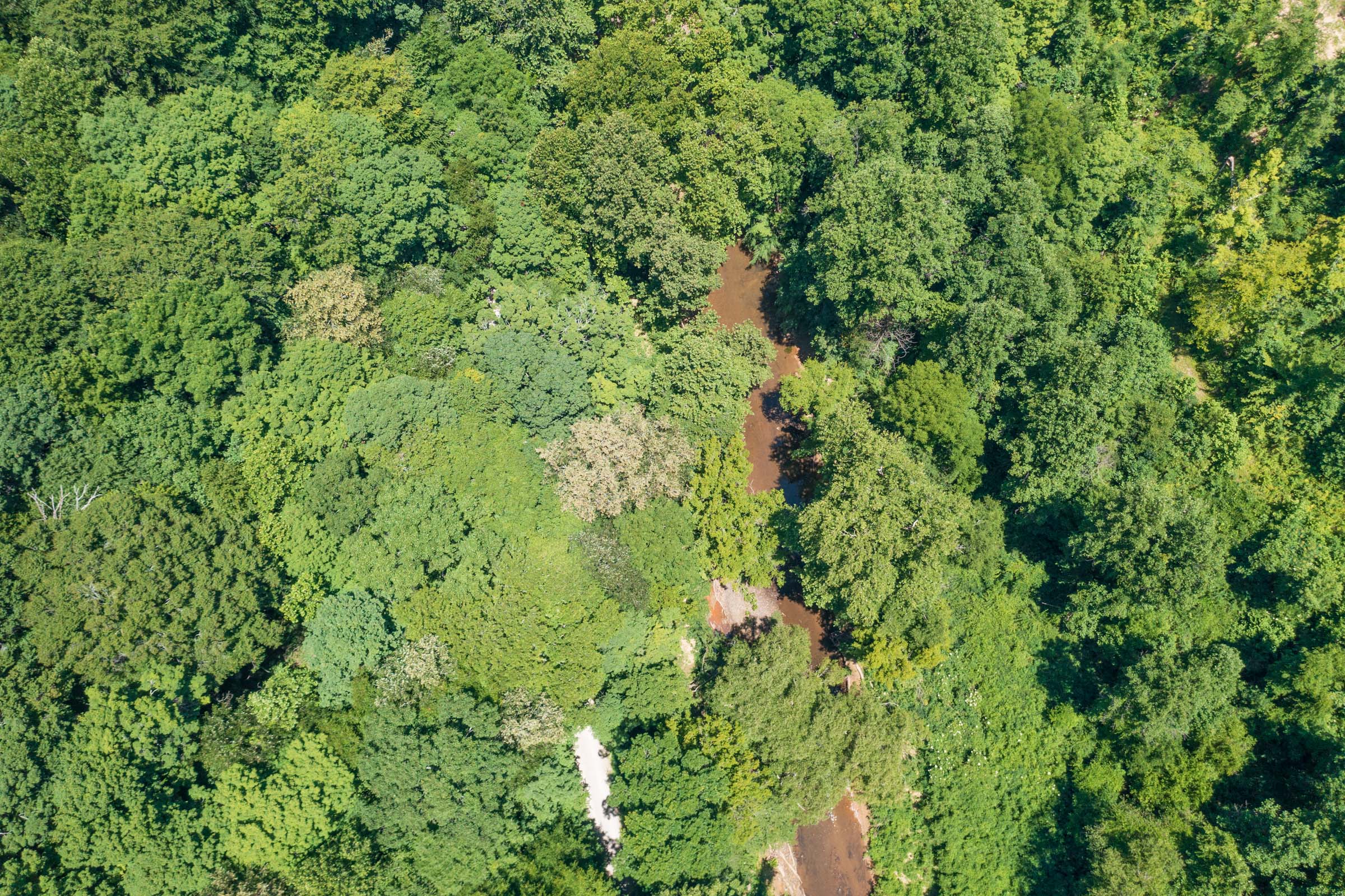 Tract 12 at Rivers Edge in Jackson County, Kentucky
