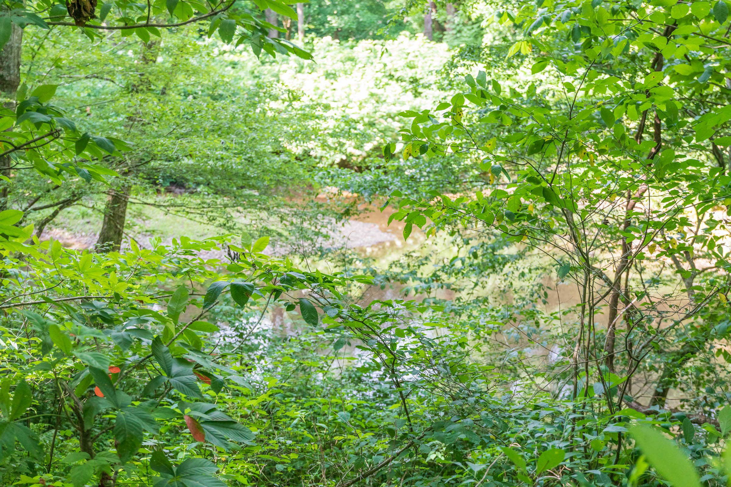 Tract 18 at Rivers Edge in Jackson County, Kentucky