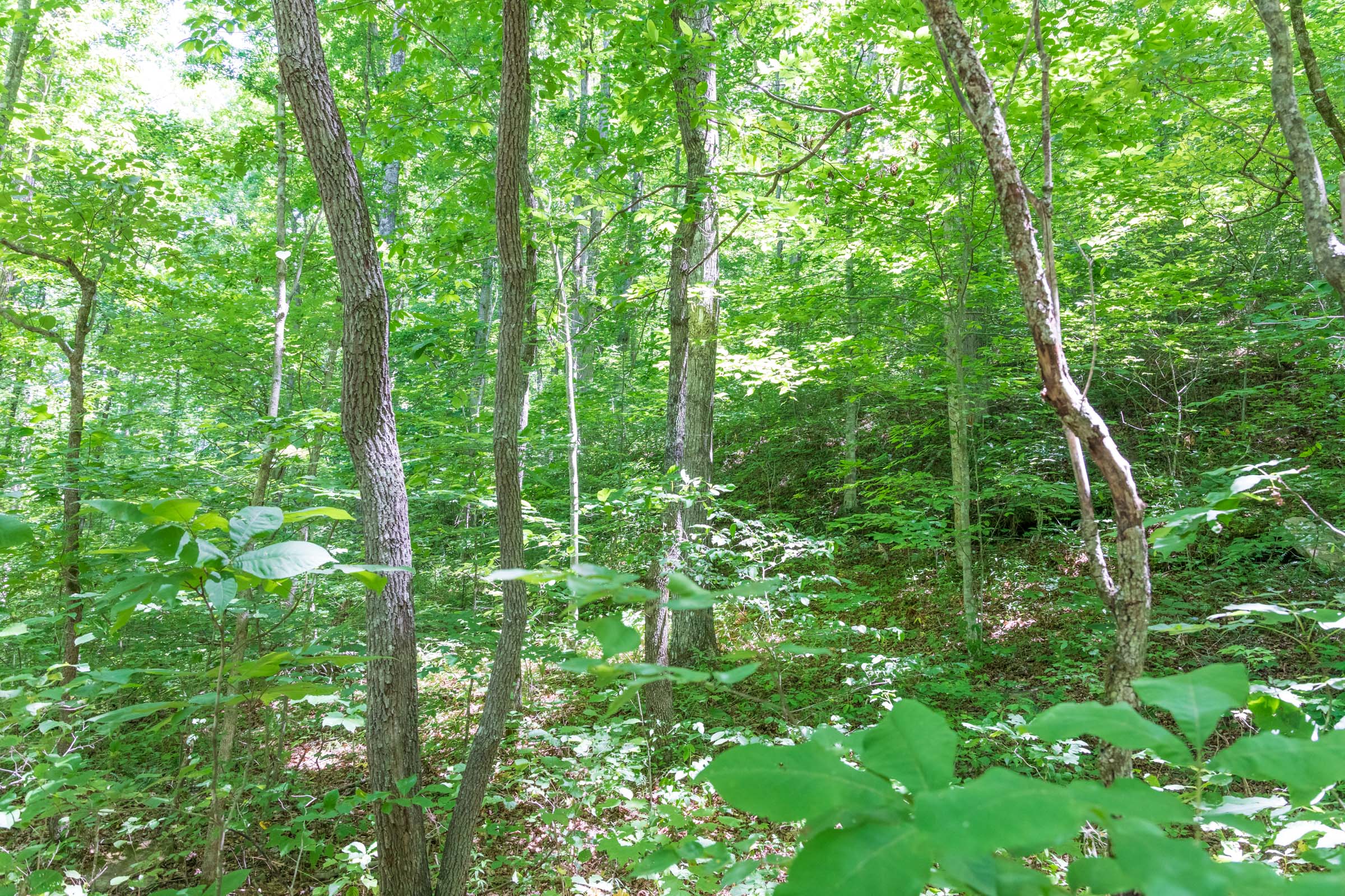 Tract 19 at Rivers Edge in Jackson County, Kentucky