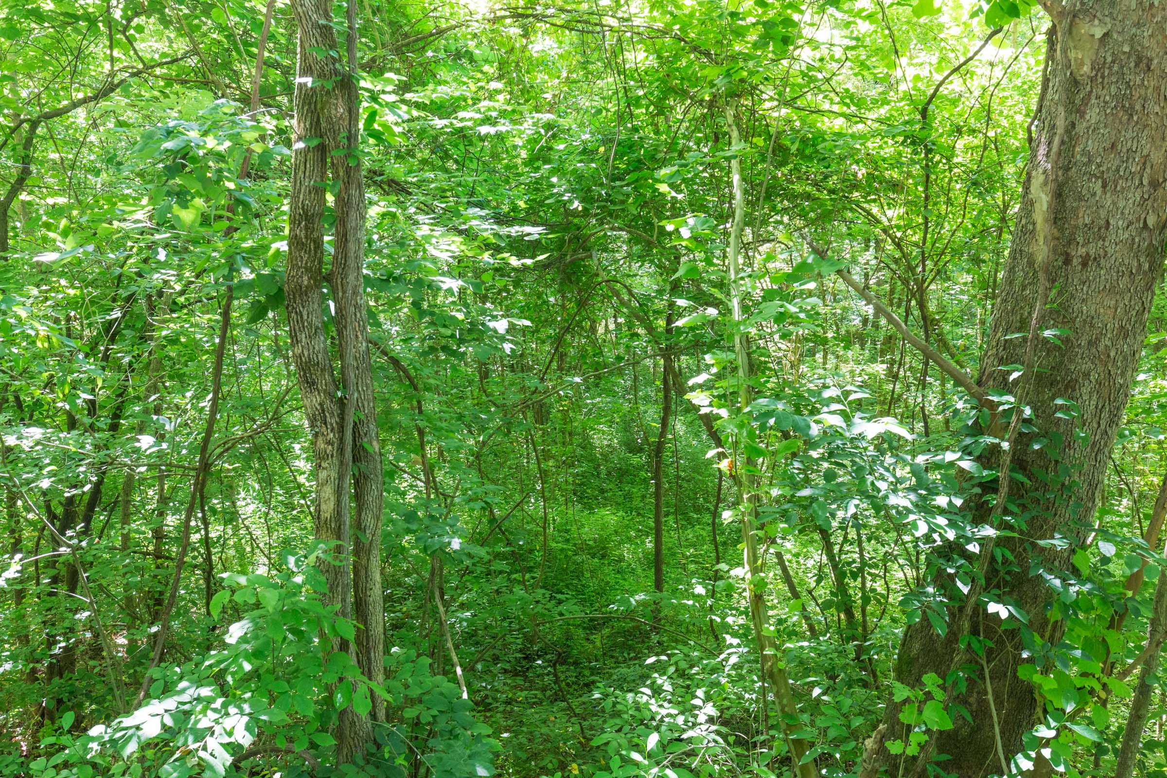 Tract 2 at Rivers Edge in Jackson County, Kentucky