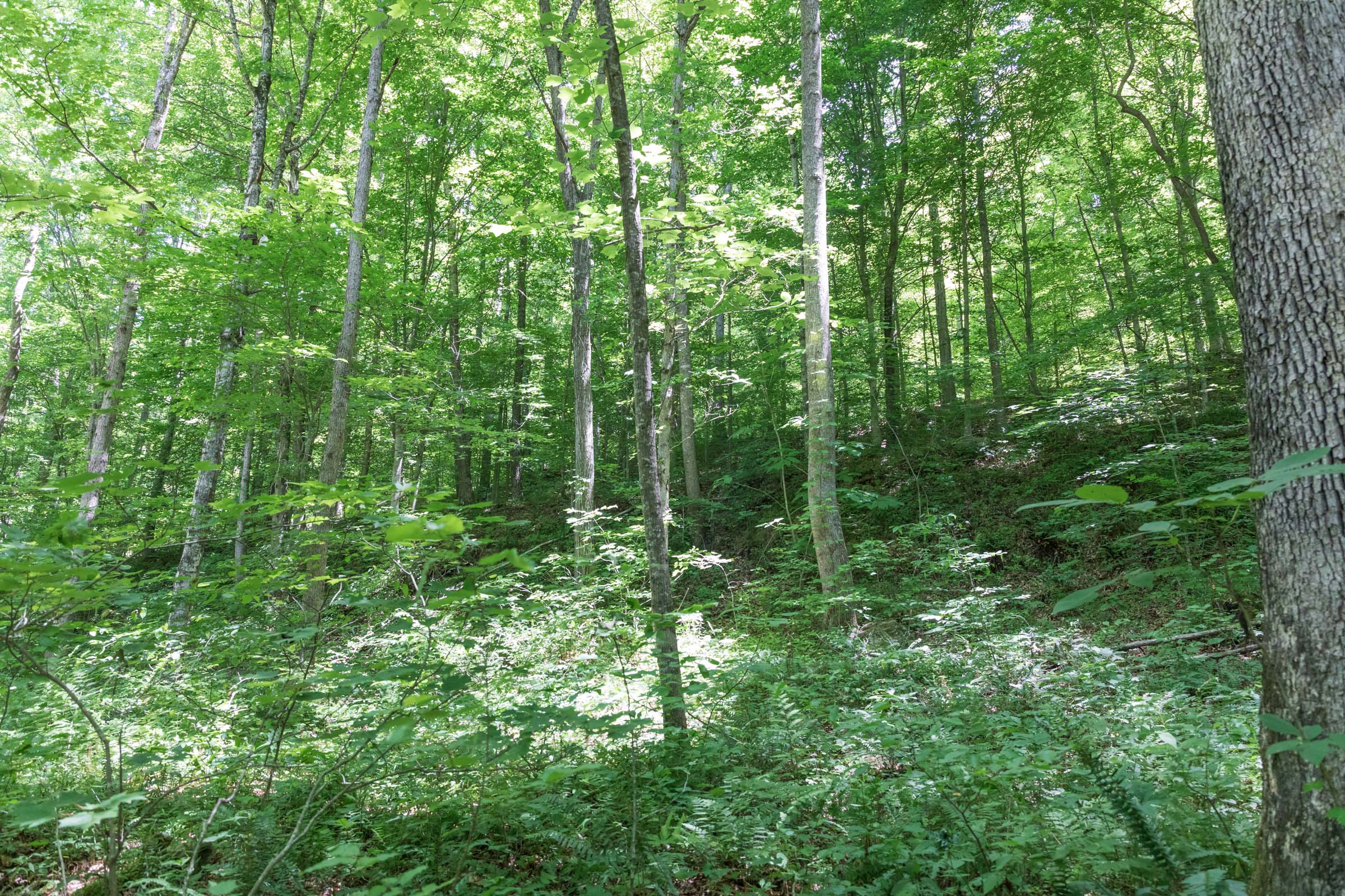 Tract 20 at Rivers Edge in Jackson County, Kentucky