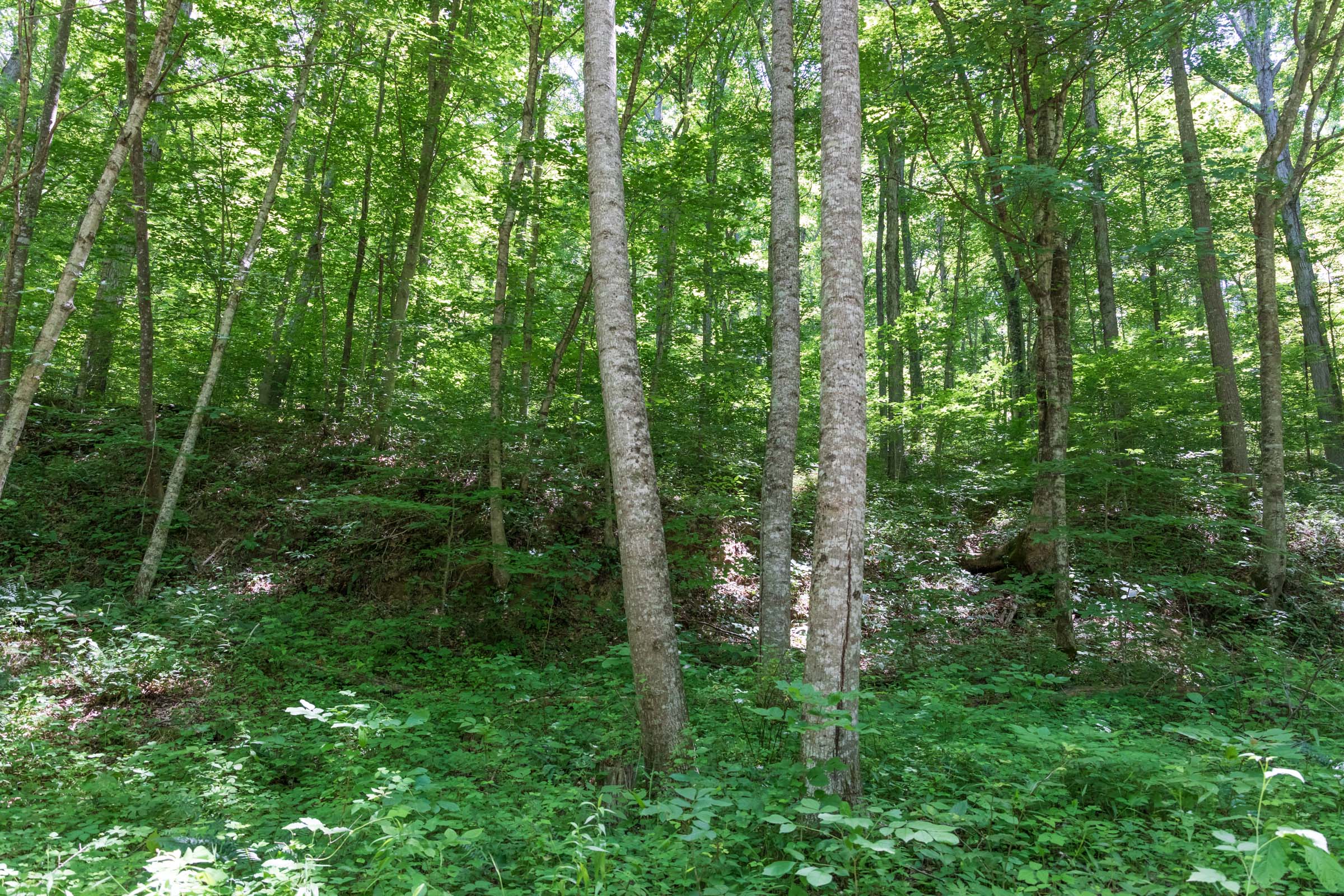 Tract 21 at Rivers Edge in Jackson County, Kentucky