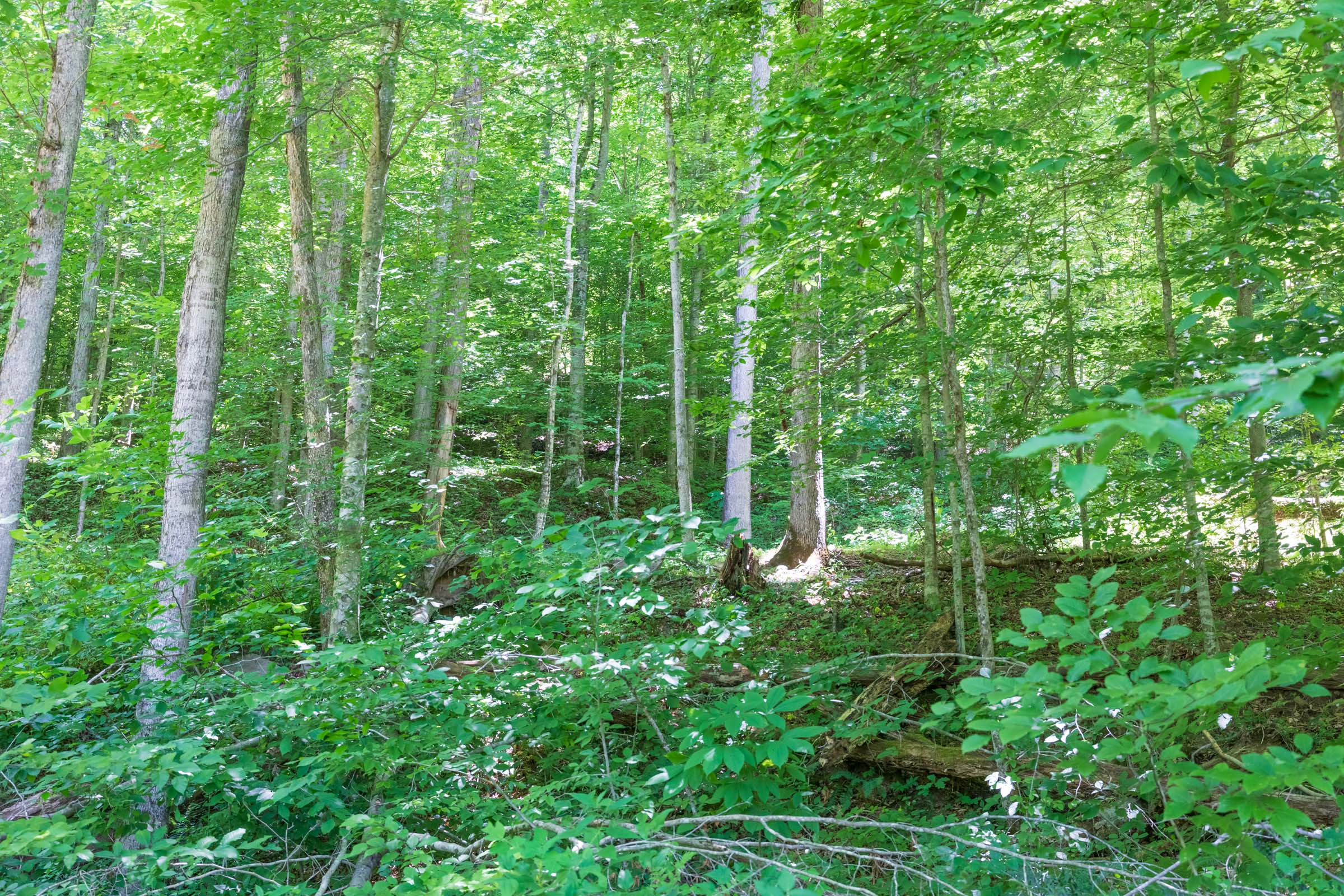 Tract 22 at Rivers Edge in Jackson County, Kentucky