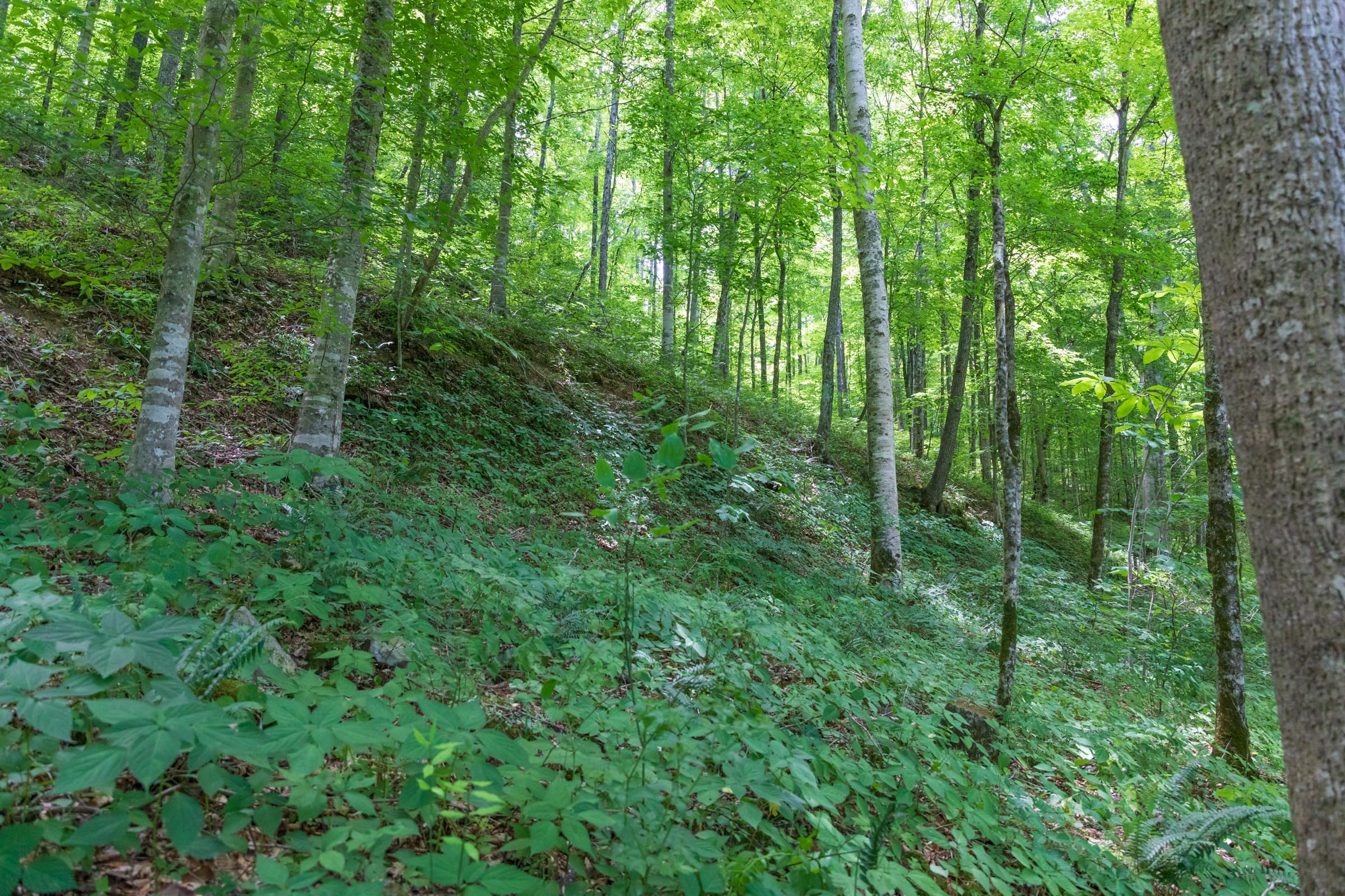 Tract 23 at Rivers Edge in Jackson County, Kentucky