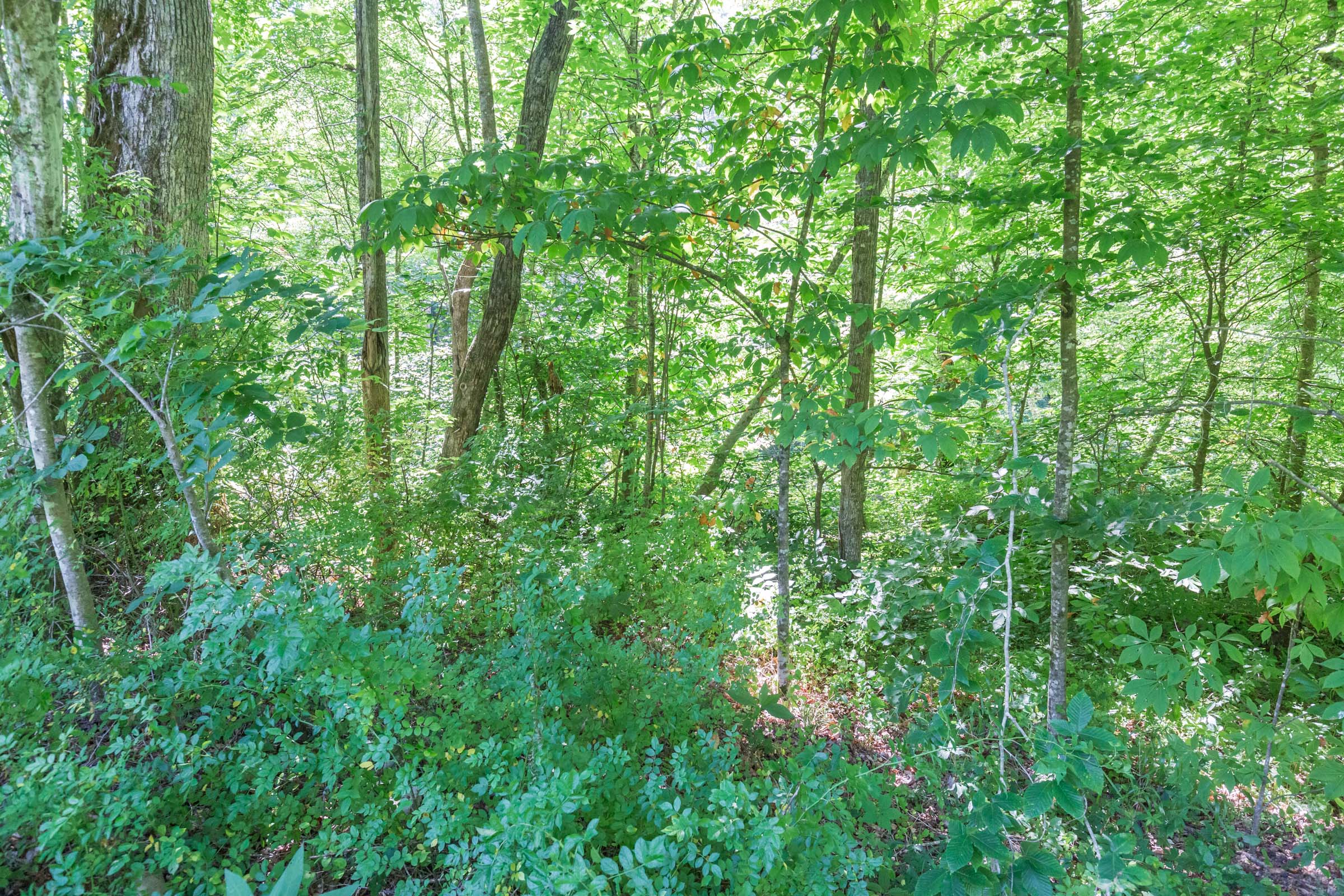 Tract 3 at Rivers Edge in Jackson County, Kentucky