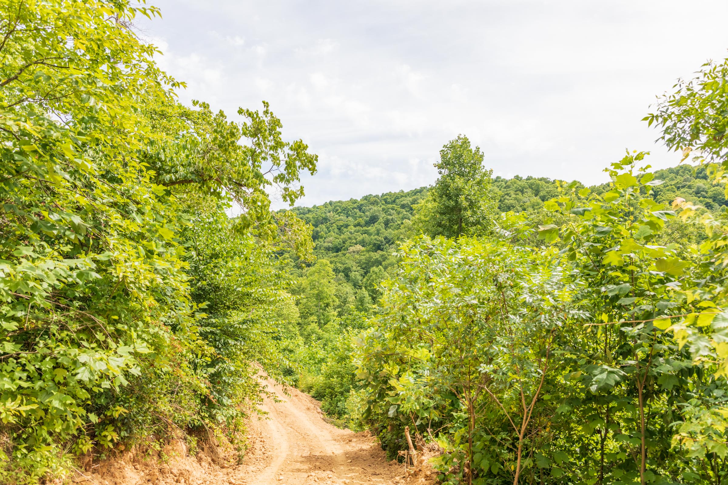 Tract 32 at Rivers Edge in Jackson County, Kentucky