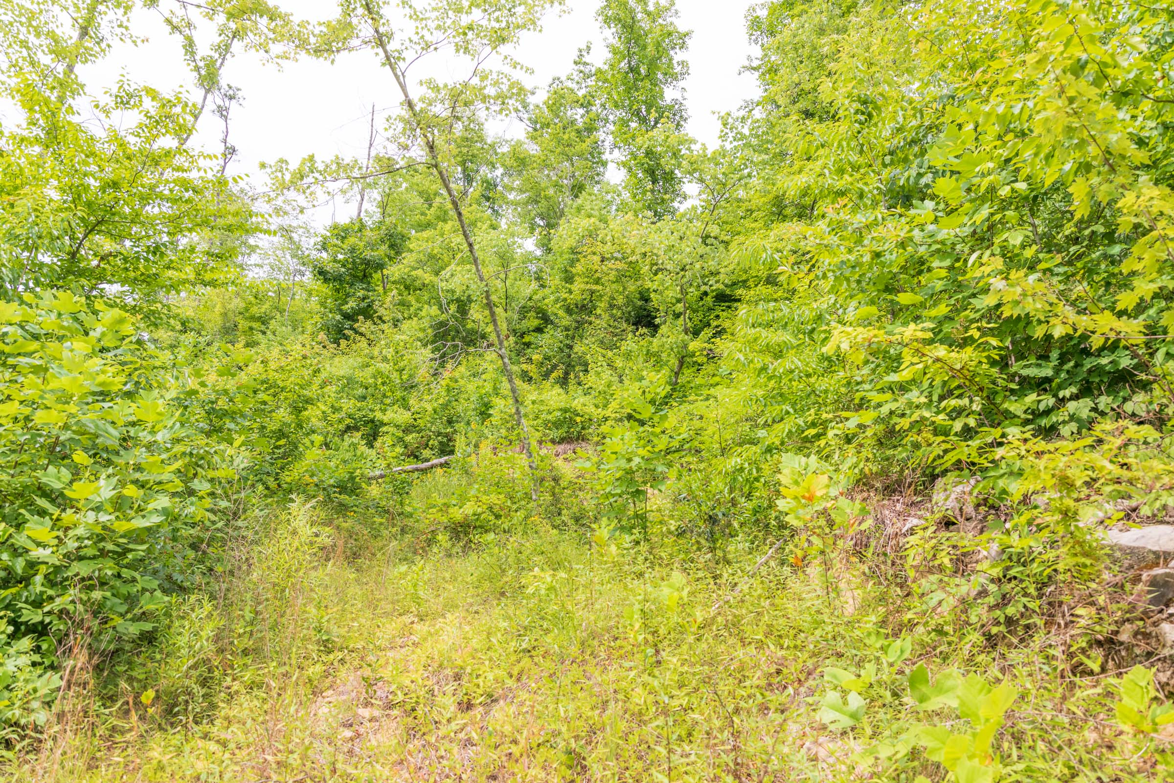 Tract 34 at Rivers Edge in Jackson County, Kentucky