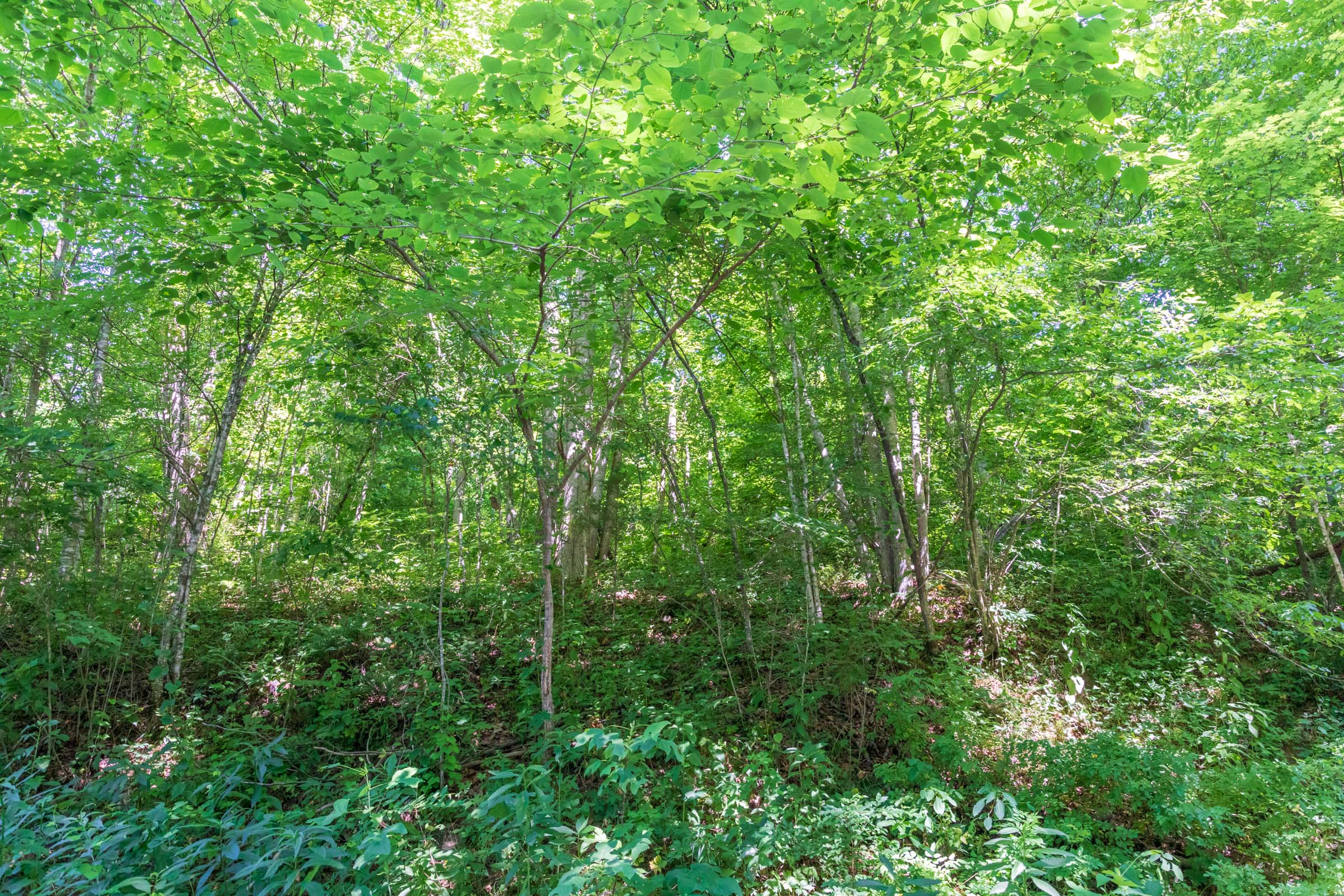 Tract 35 at Rivers Edge in Jackson County, Kentucky