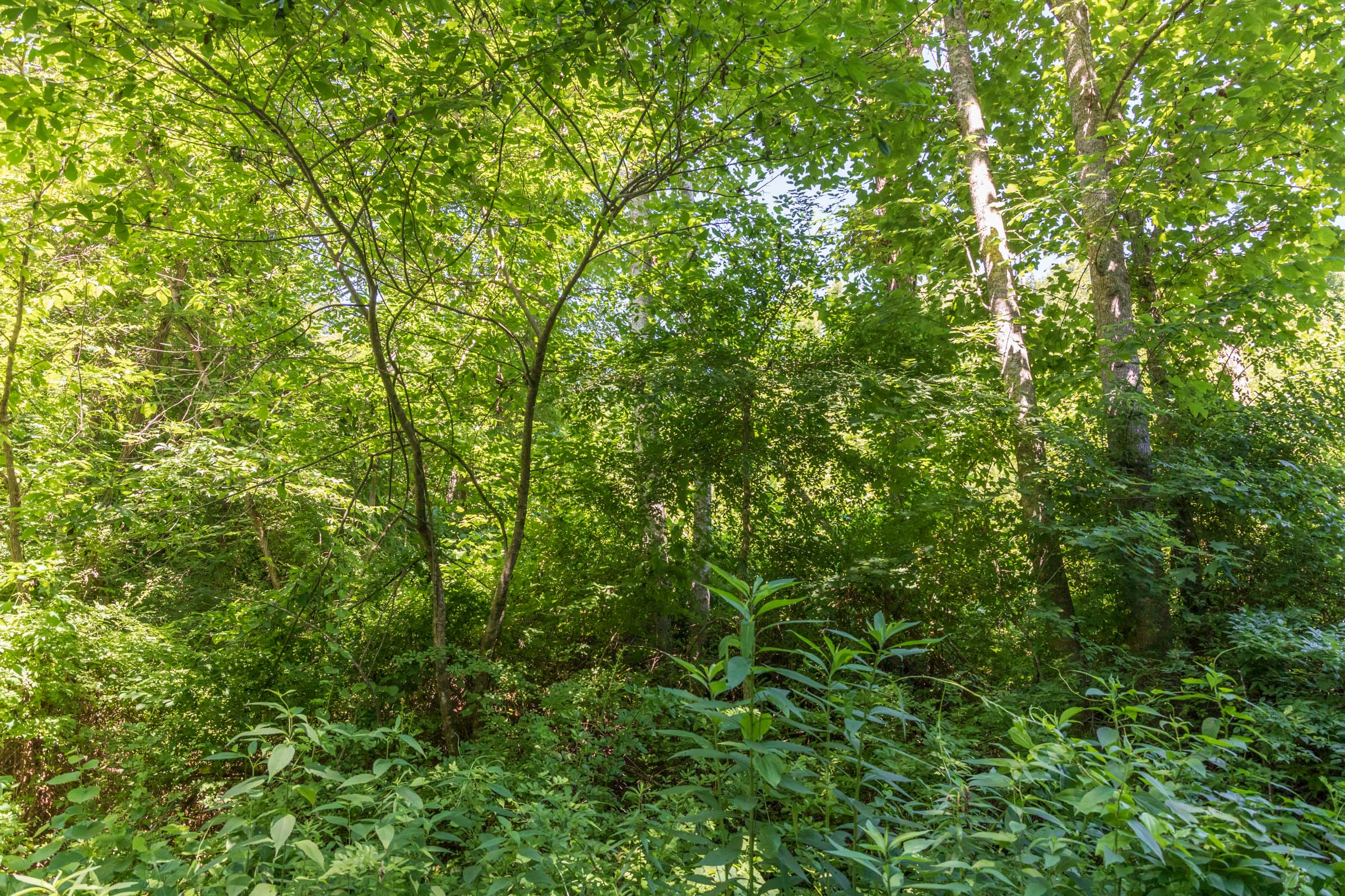 Tract 38 at Rivers Edge in Jackson County, Kentucky