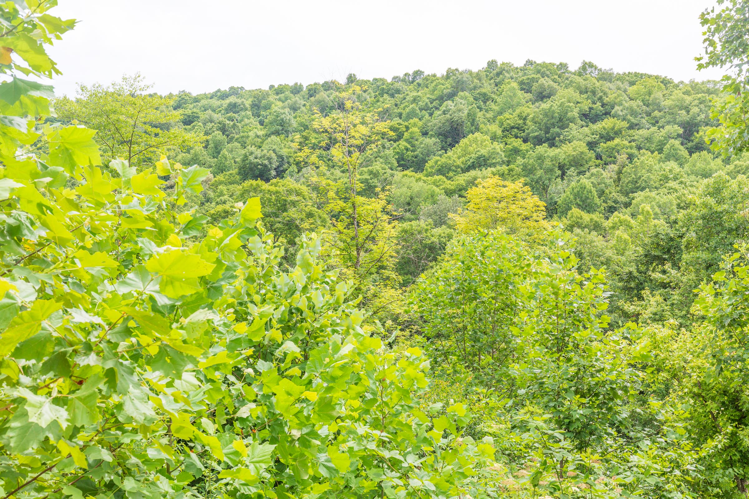 Tract 8 at Rivers Edge in Jackson County, Kentucky