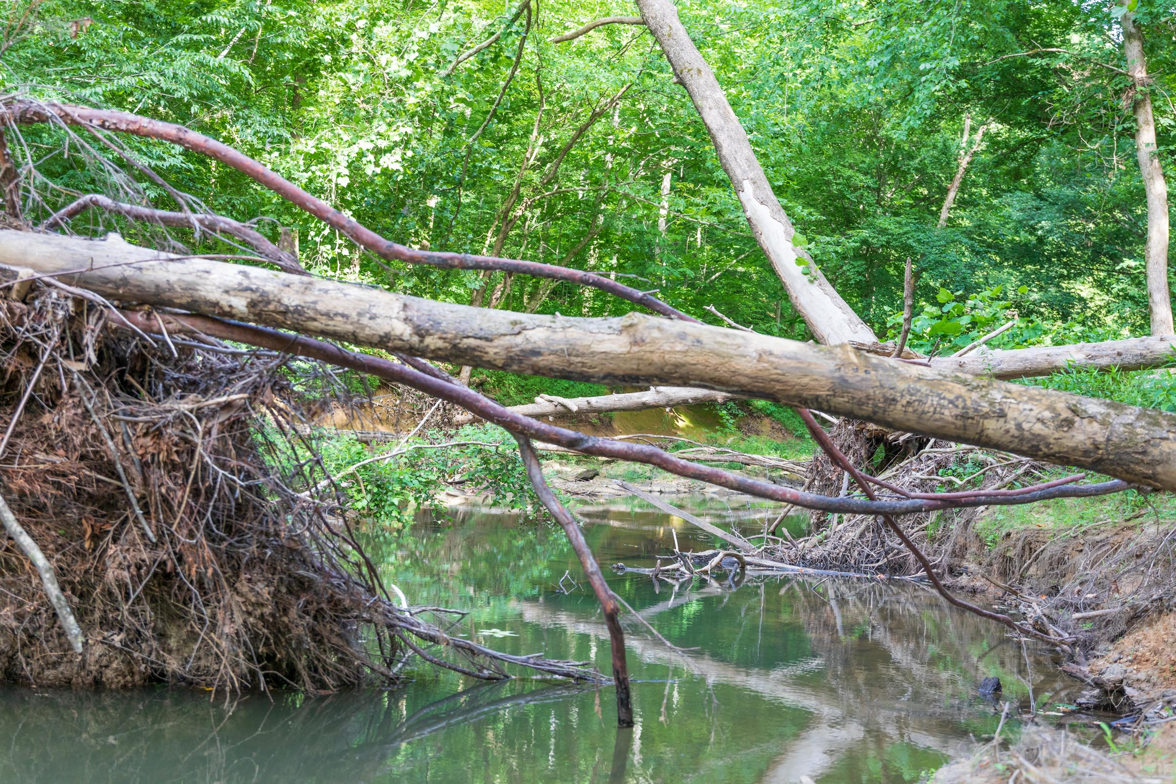 Tract 9 at Rivers Edge in Jackson County, Kentucky