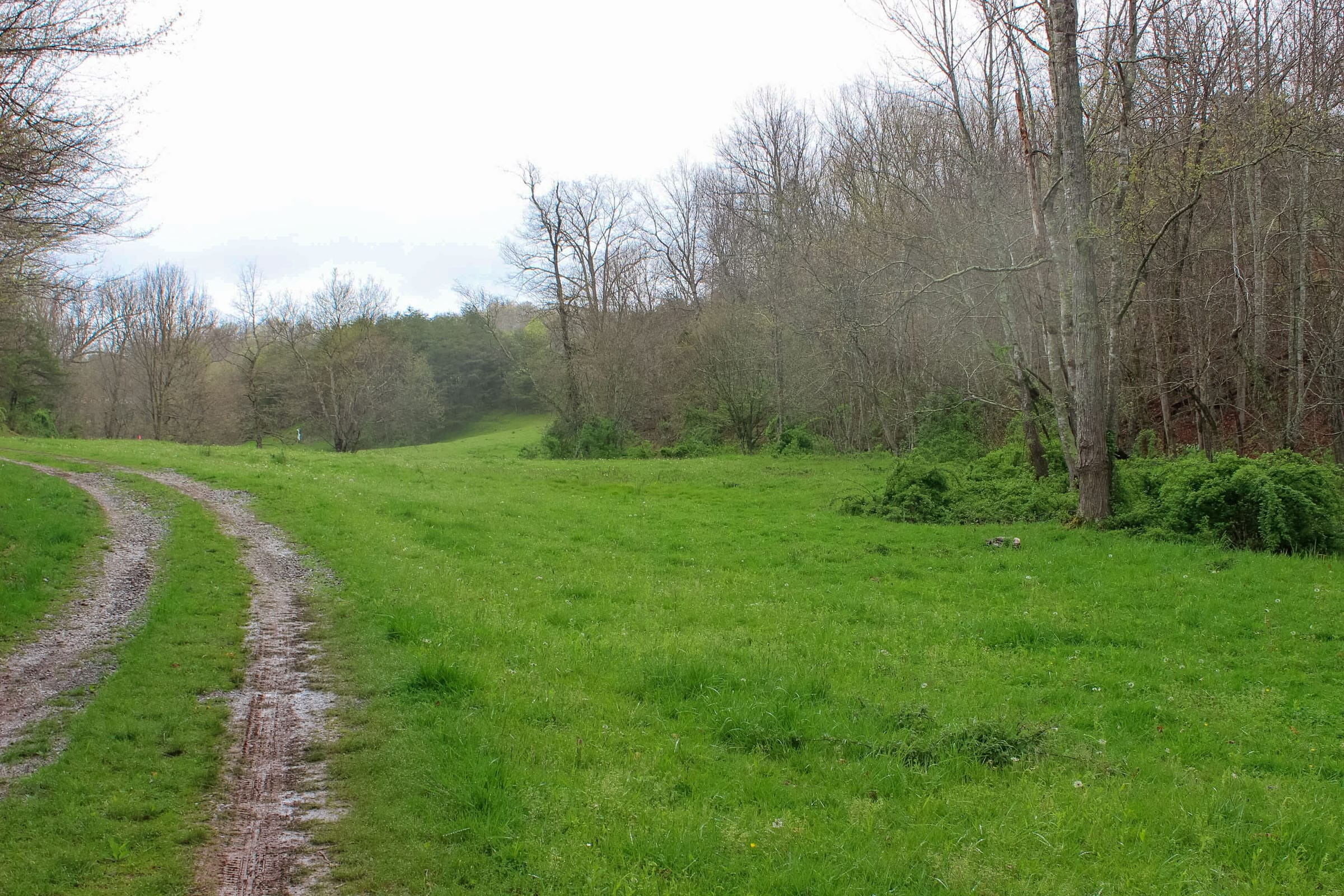 Tract 10 at Serenity Creek in Laurel County, Kentucky