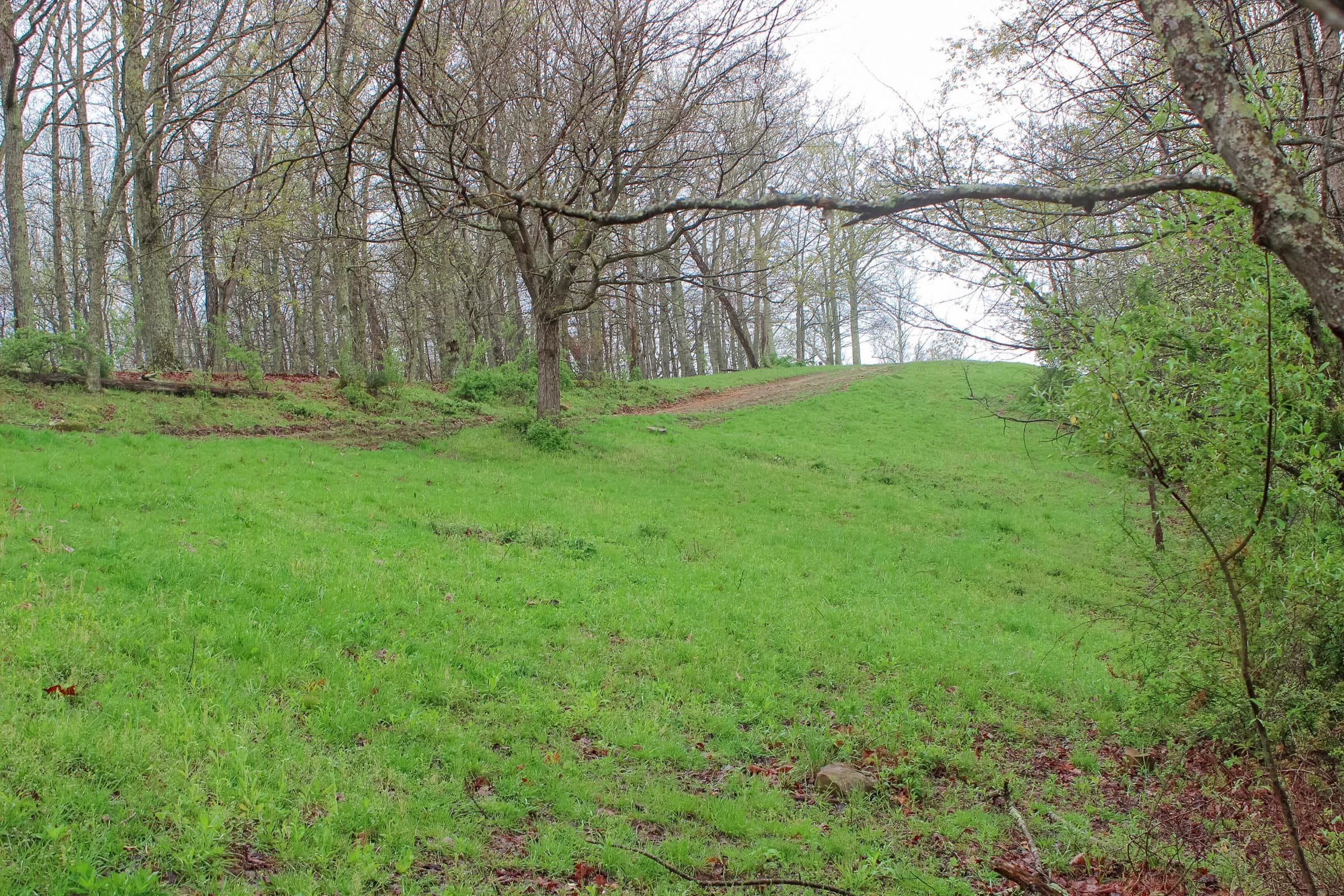 Tract 12 at Serenity Creek in Laurel County, Kentucky