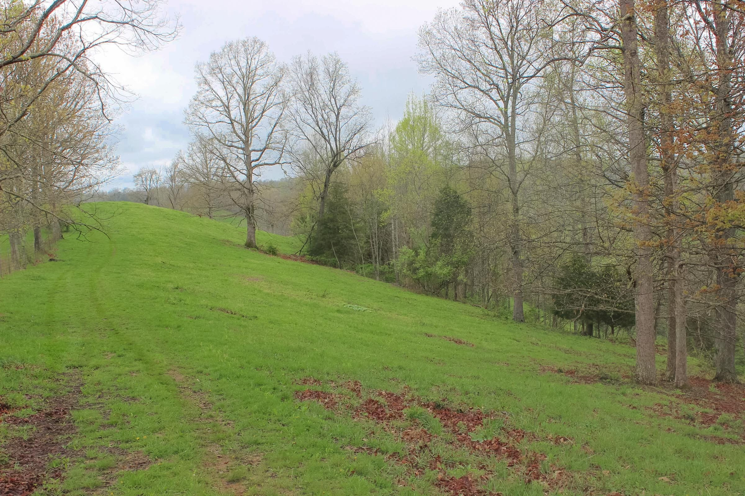 Tract 13 at Serenity Creek in Laurel County, Kentucky